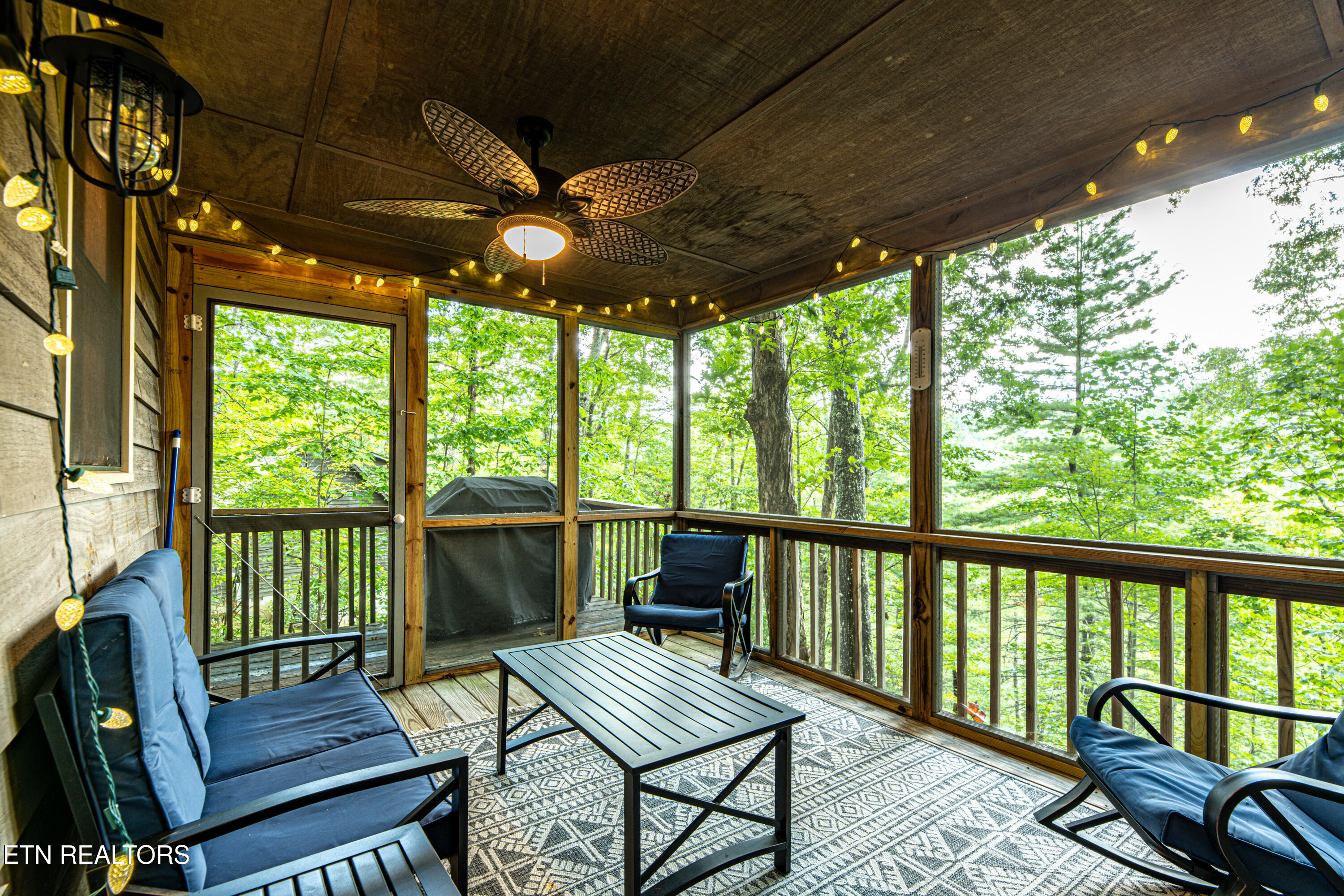 822 Christy Lane Townsend TN 37882