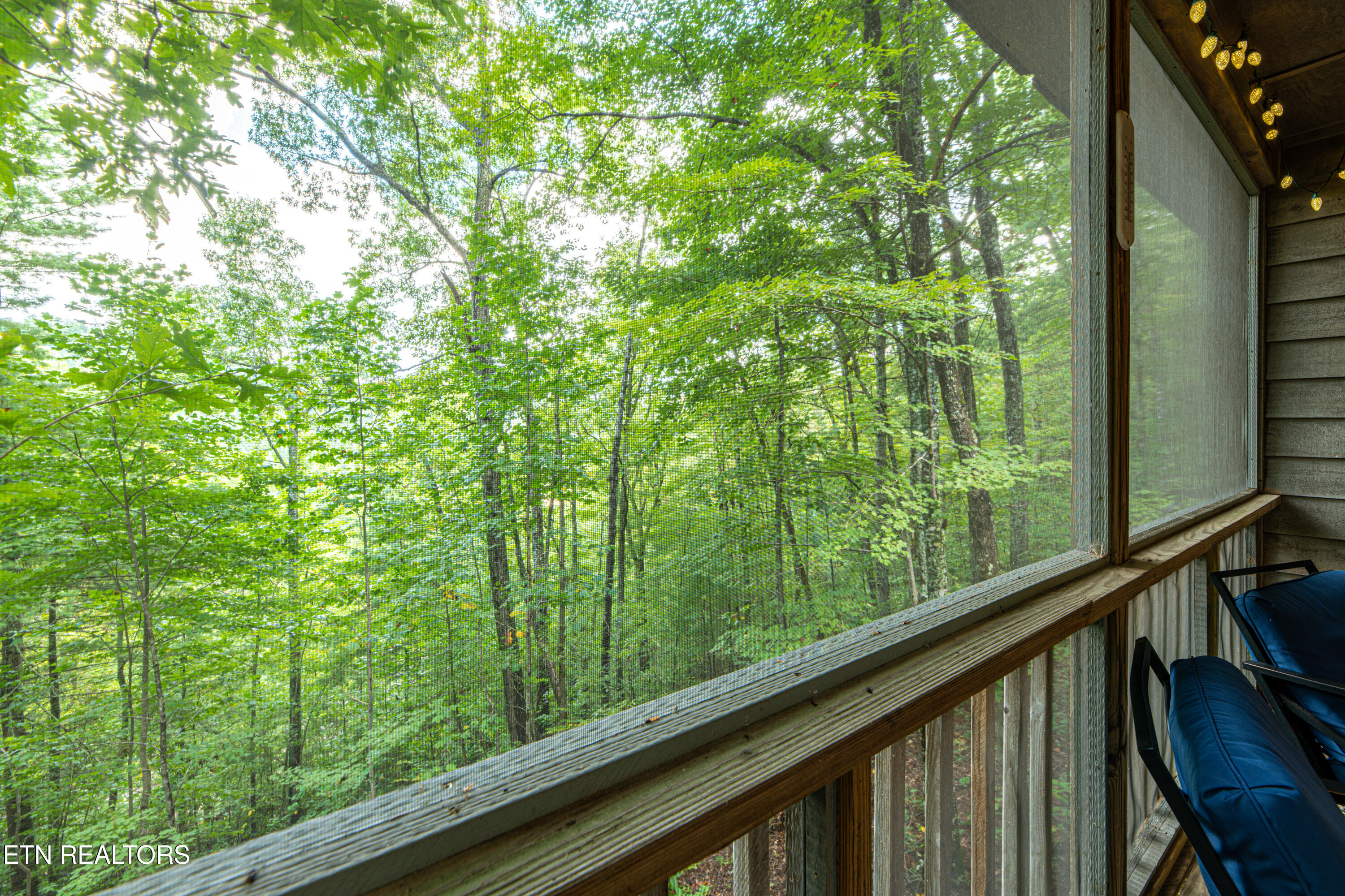 822 Christy Lane Townsend TN 37882
