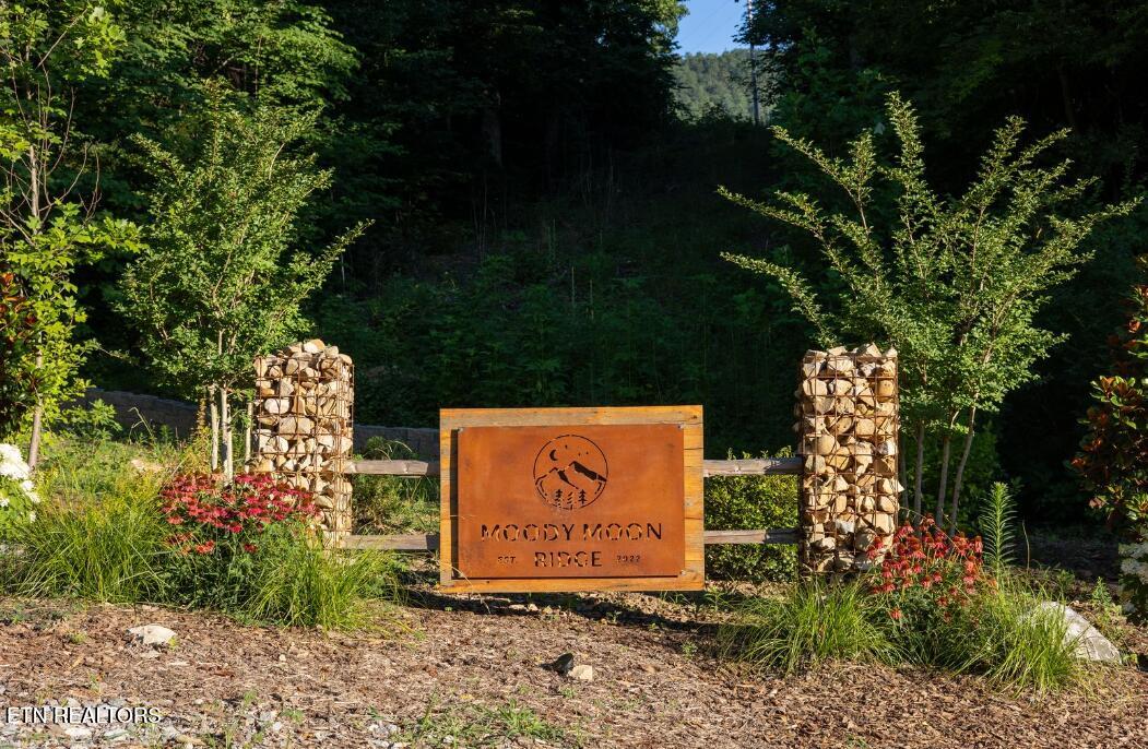 Lot 16 Moody Moon Ridge Way Newport TN 37821