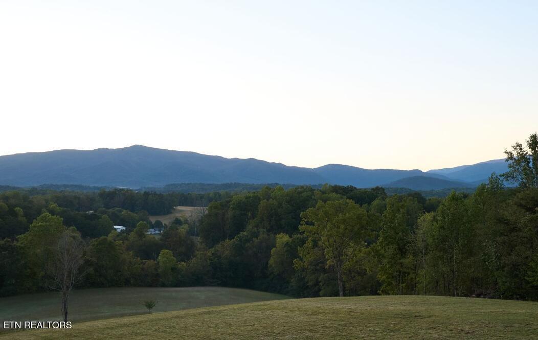 Lot 16 Moody Moon Ridge Way Newport TN 37821