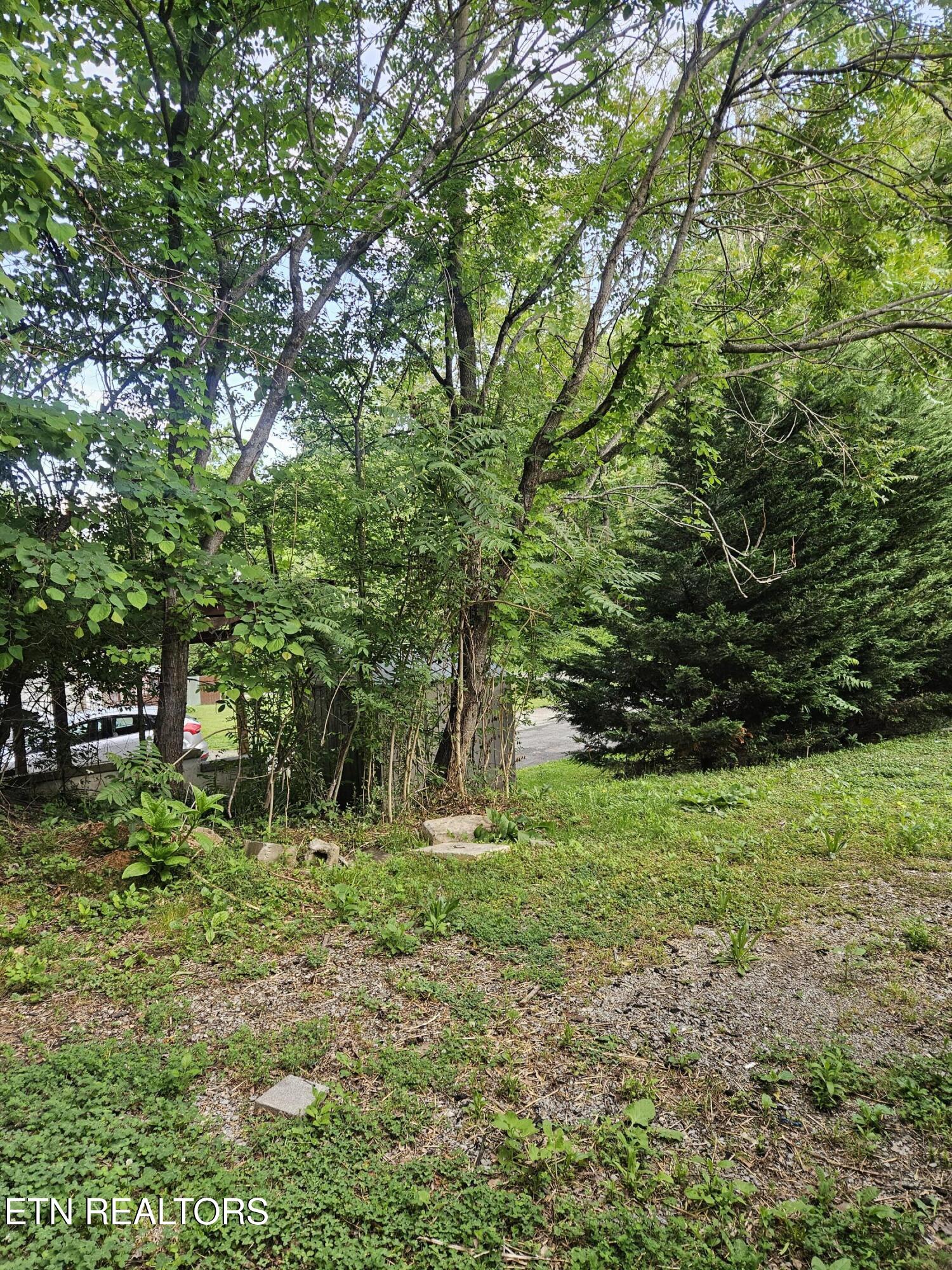 240 Henderson Hollow Road Knoxville TN 37931