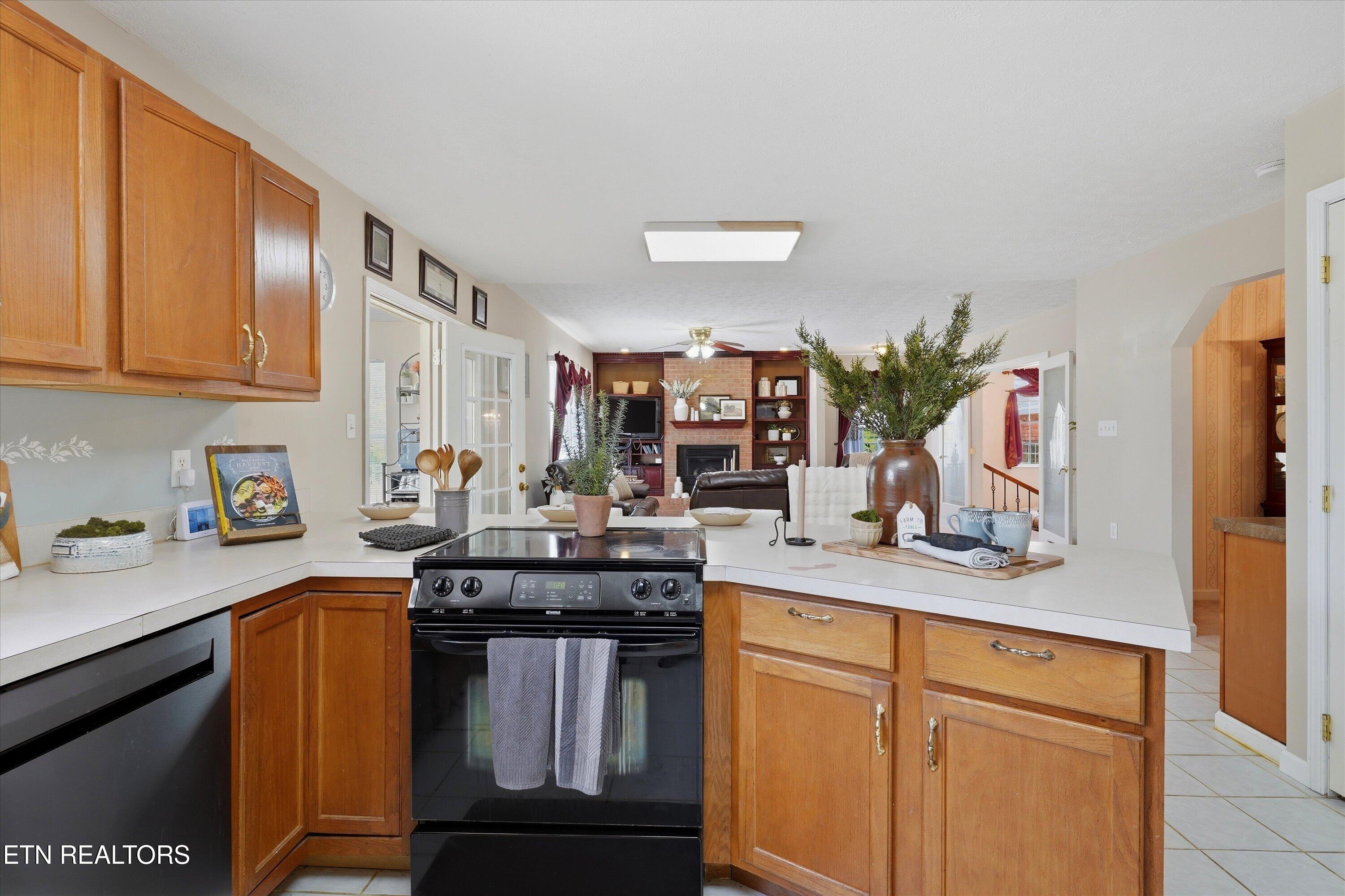 1517 Bob Young Lane Lenoir City TN 37772