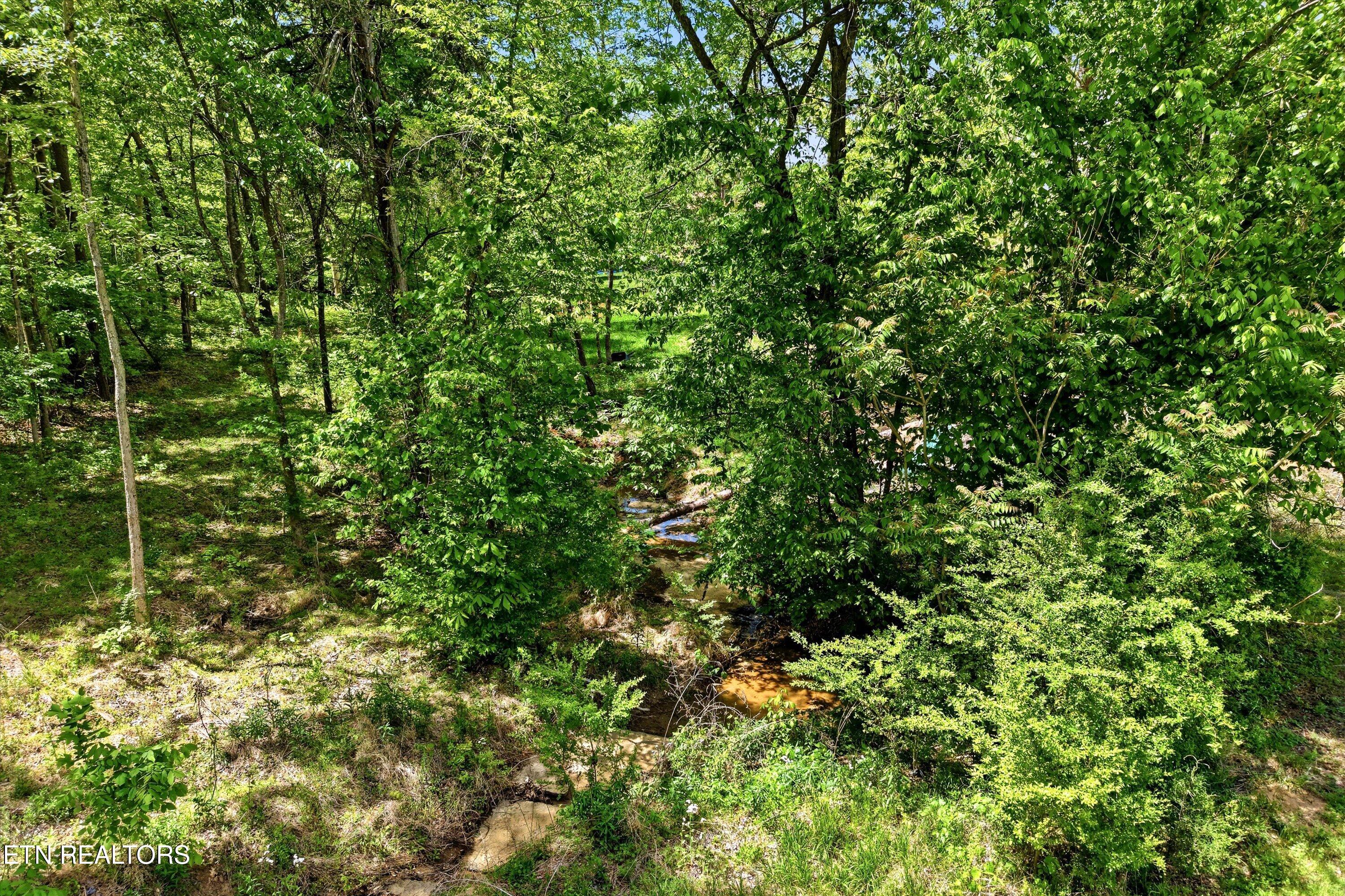 1517 Bob Young Lane Lenoir City TN 37772