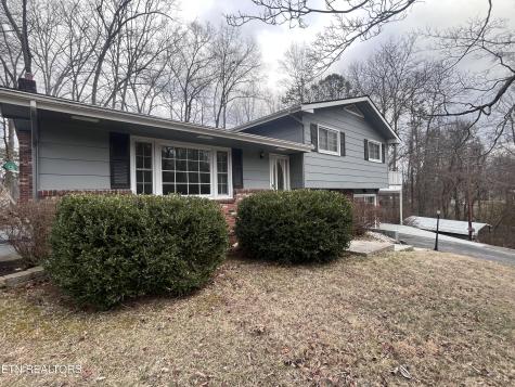 216 Mimosa Avenue Rockwood TN 37854