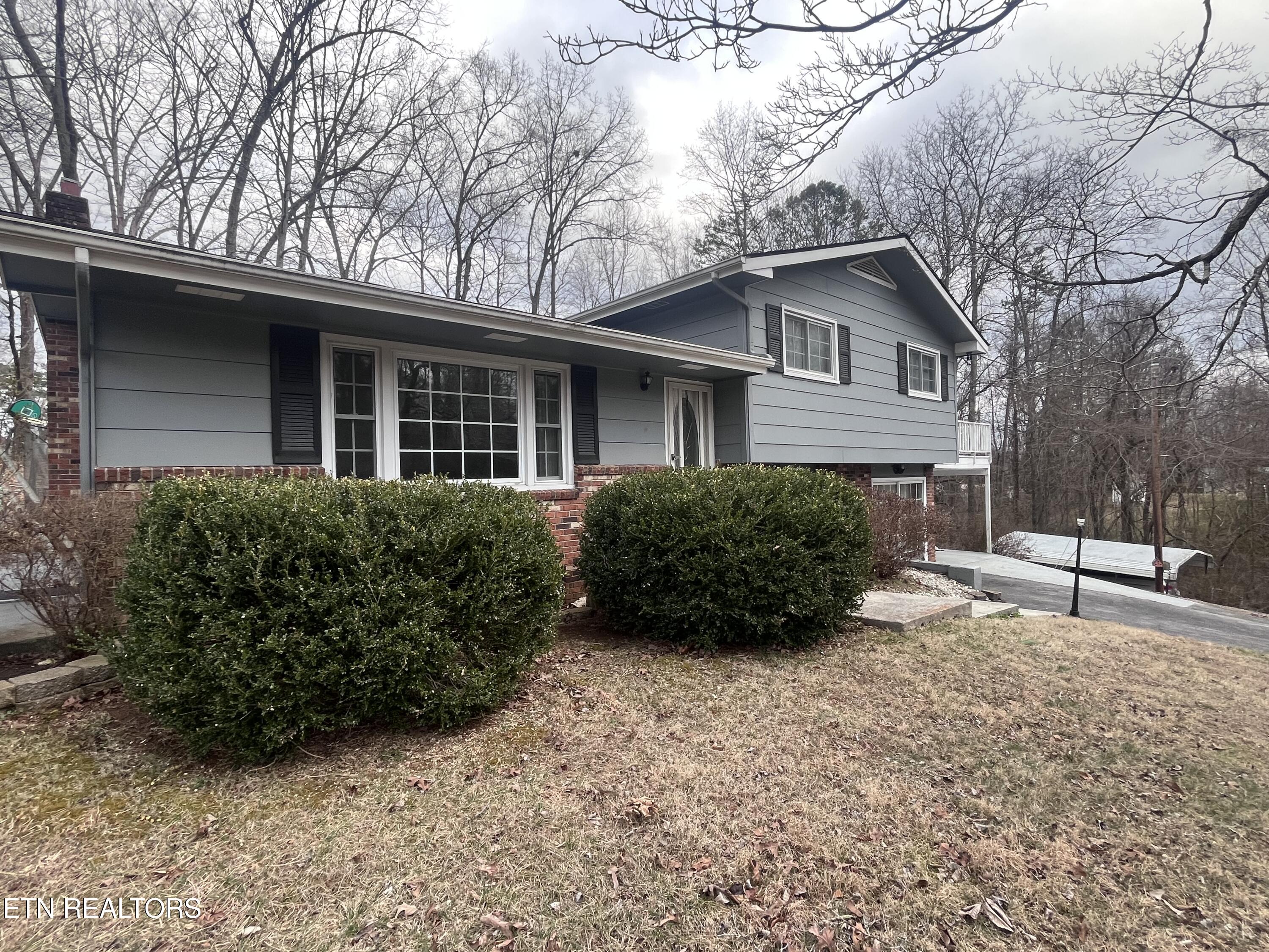 216 Mimosa Avenue Rockwood TN 37854