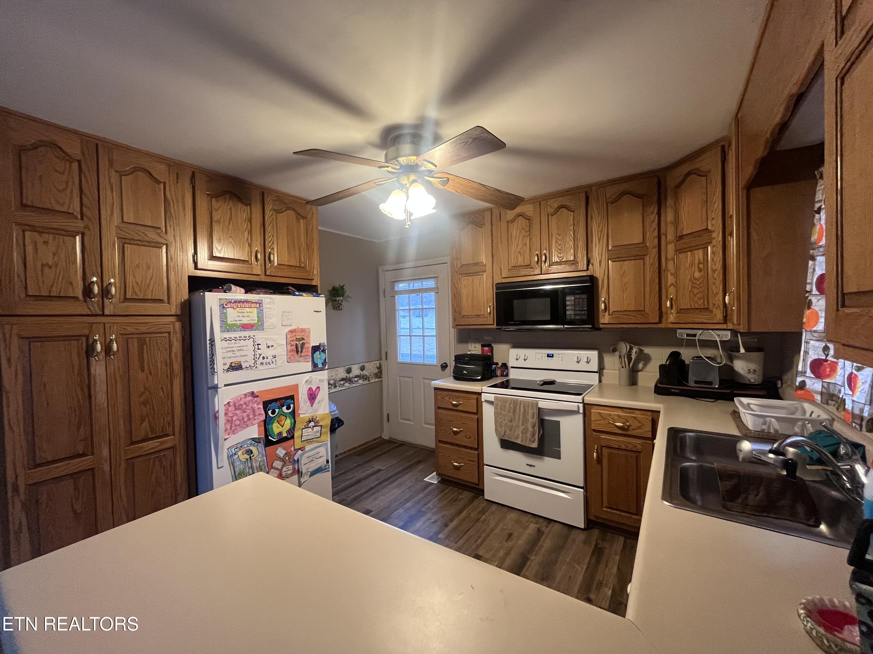 216 Mimosa Avenue Rockwood TN 37854