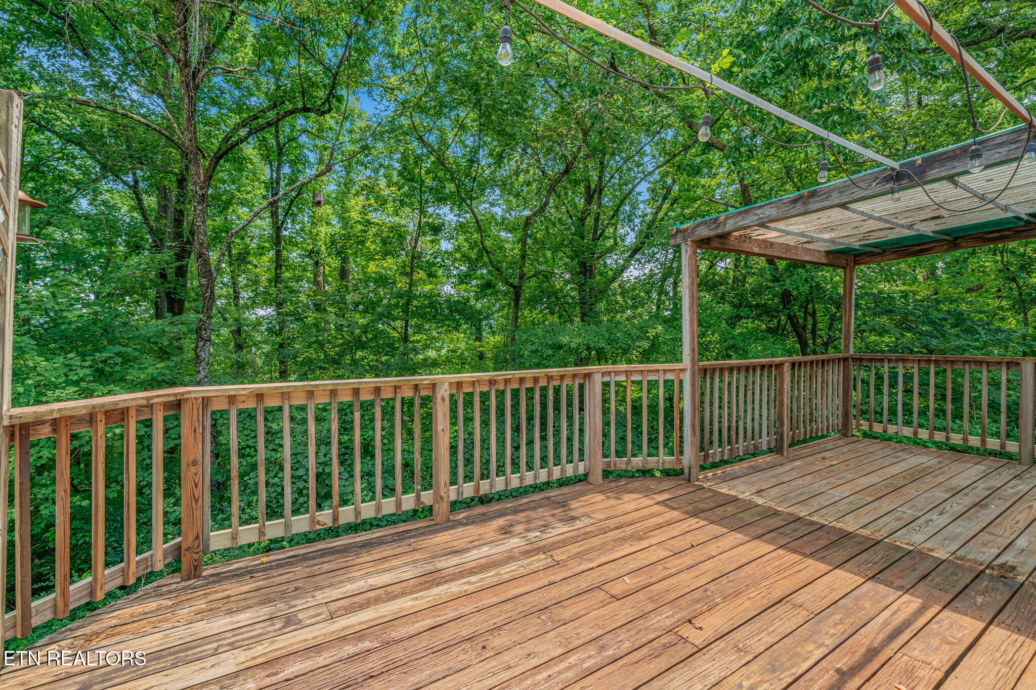 904 Lester Road Knoxville TN 37920