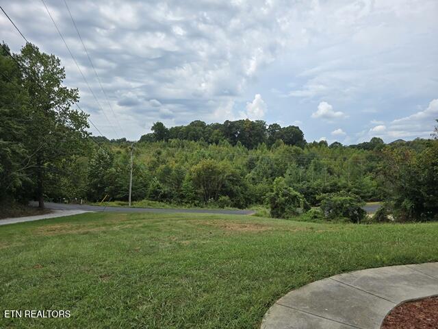 3110 Nevils Way Sevierville TN 37876