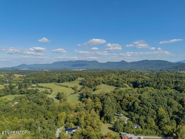 3110 Nevils Way Sevierville TN 37876