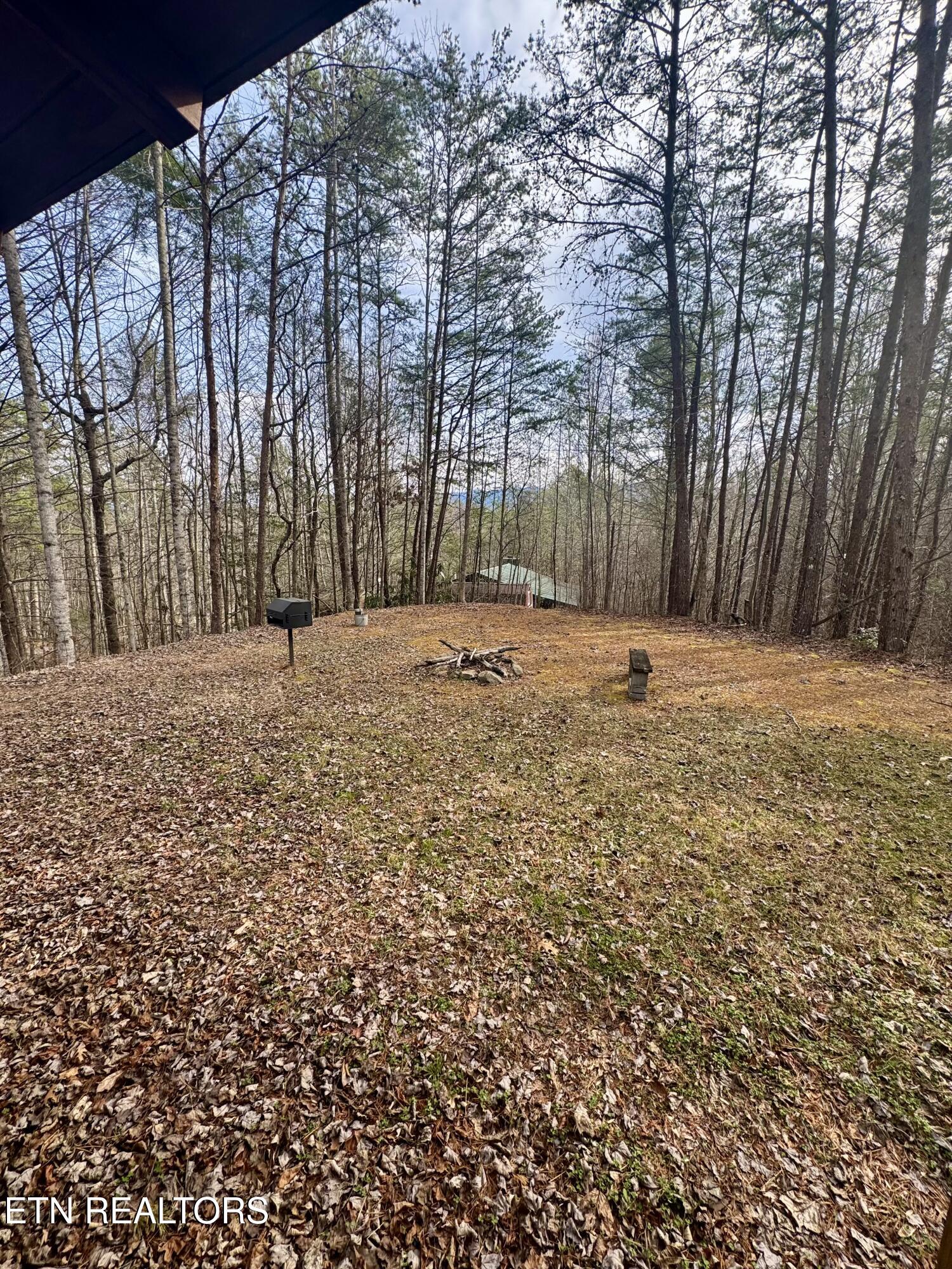 2950 Grassy Branch Loop Sevierville TN 37876