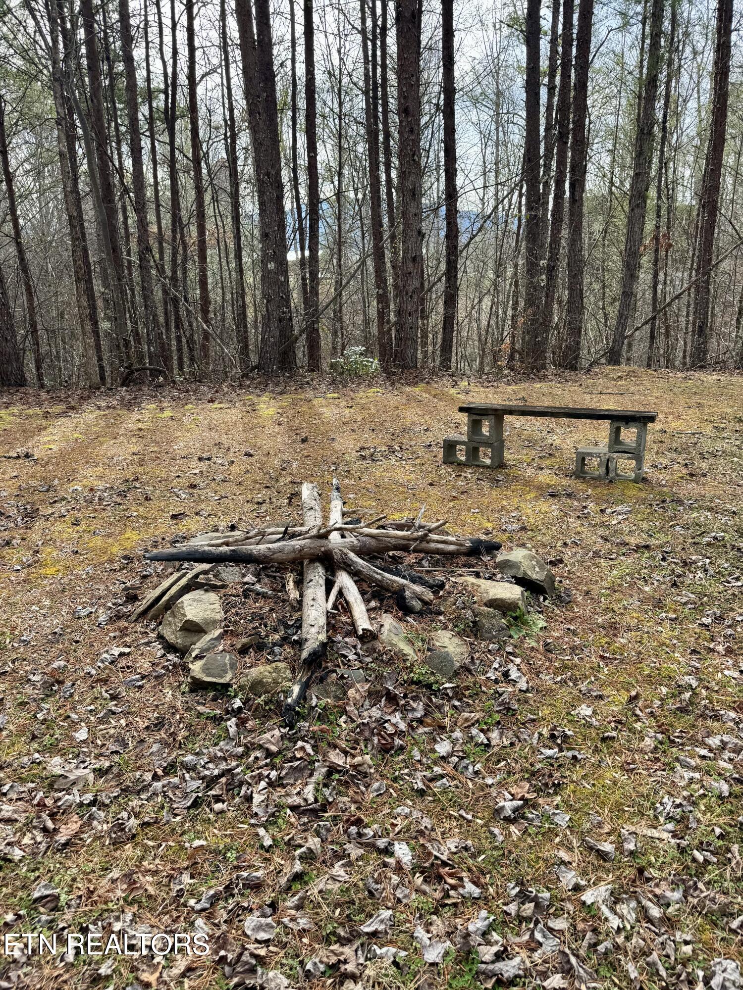2950 Grassy Branch Loop Sevierville TN 37876