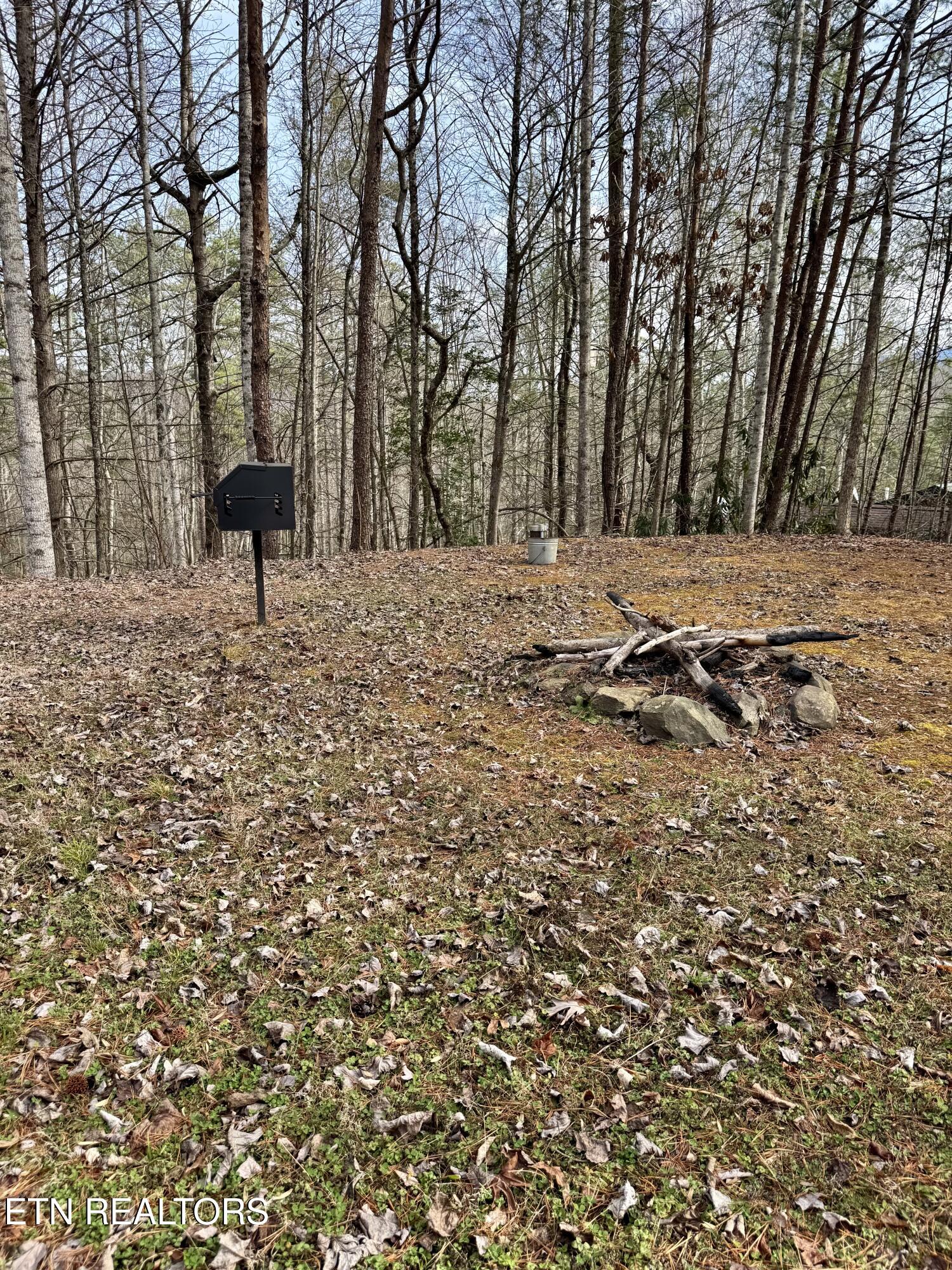 2950 Grassy Branch Loop Sevierville TN 37876