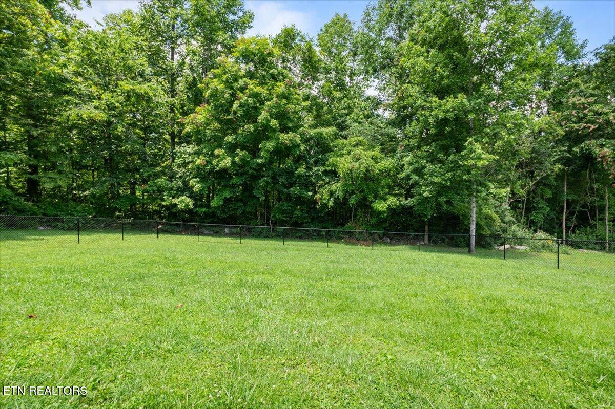 171 Forest Cove Court Jacksboro TN 37757