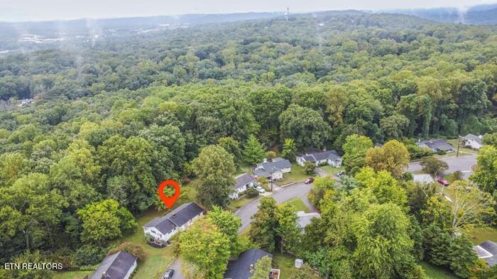 114 Euclid Circle Oak Ridge TN 37830