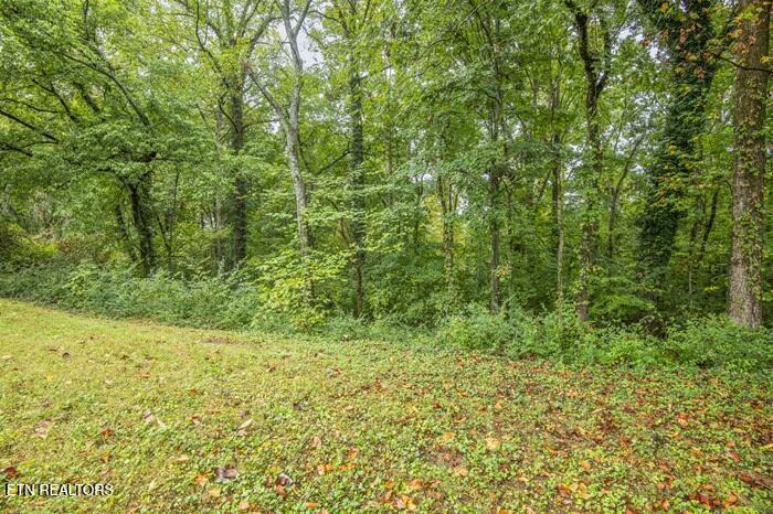 114 Euclid Circle Oak Ridge TN 37830