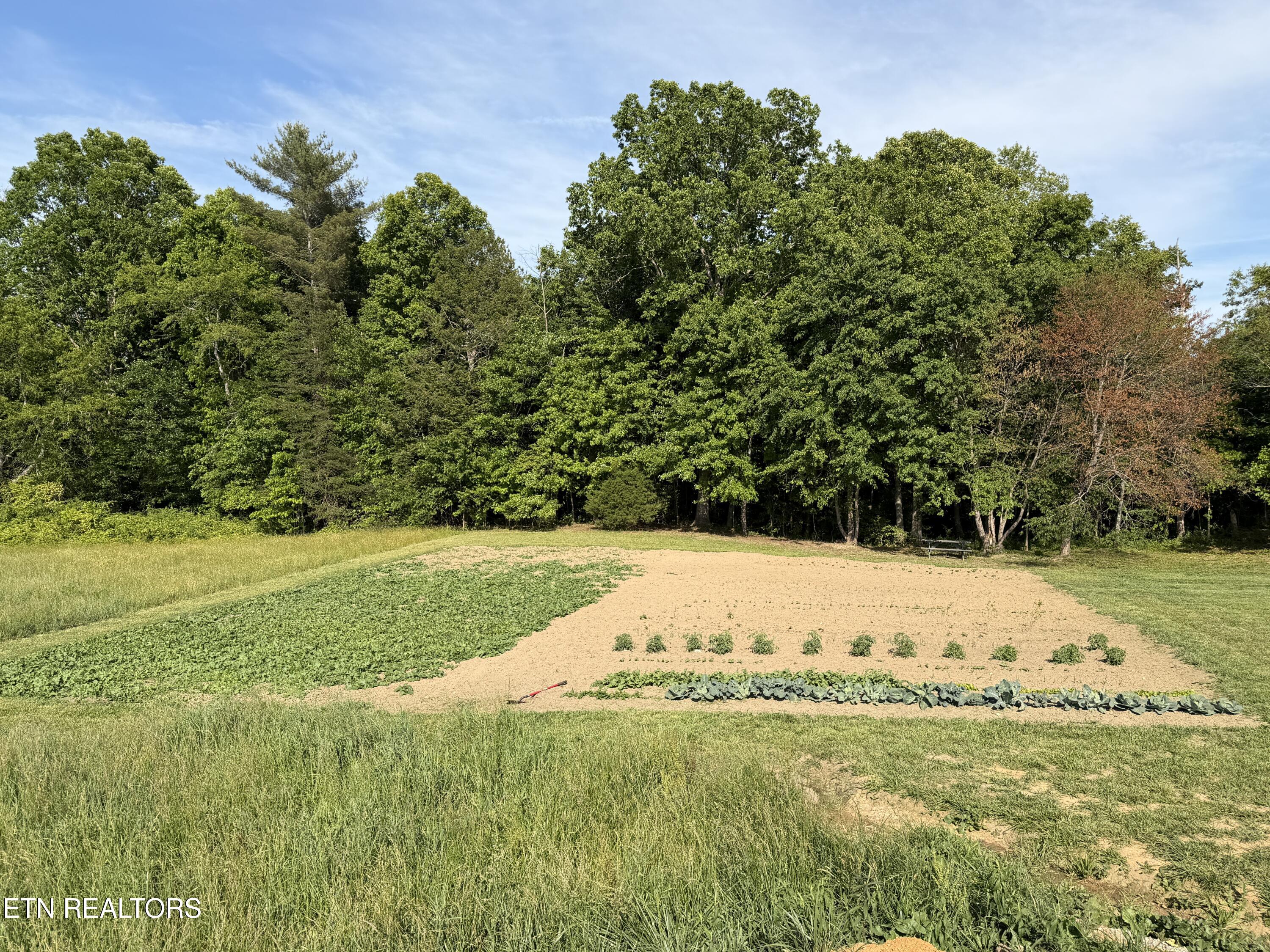 110 Don Conatser Road Allardt TN 38504