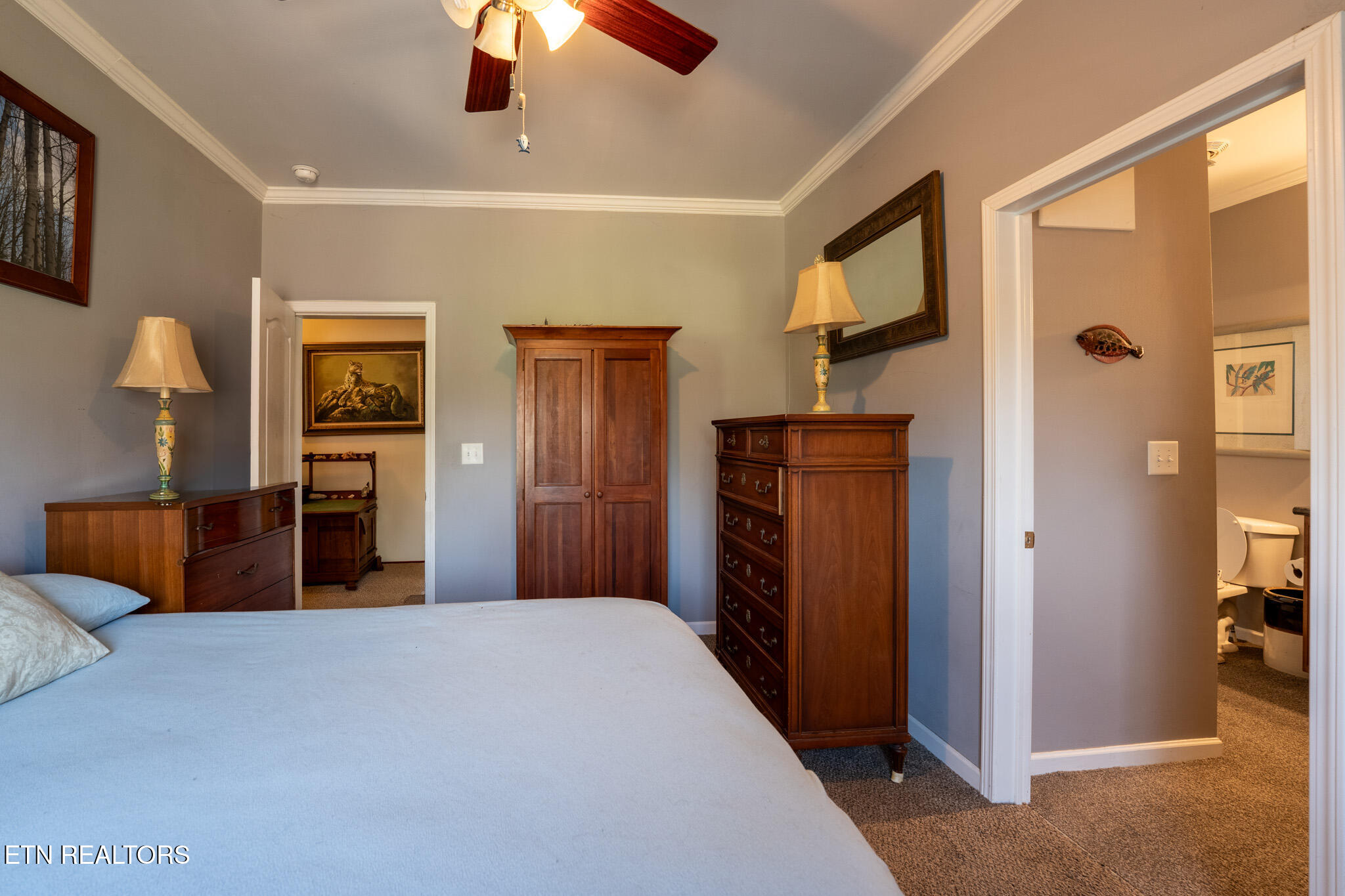 249 Molly Hollow Road New Tazewell TN 37825
