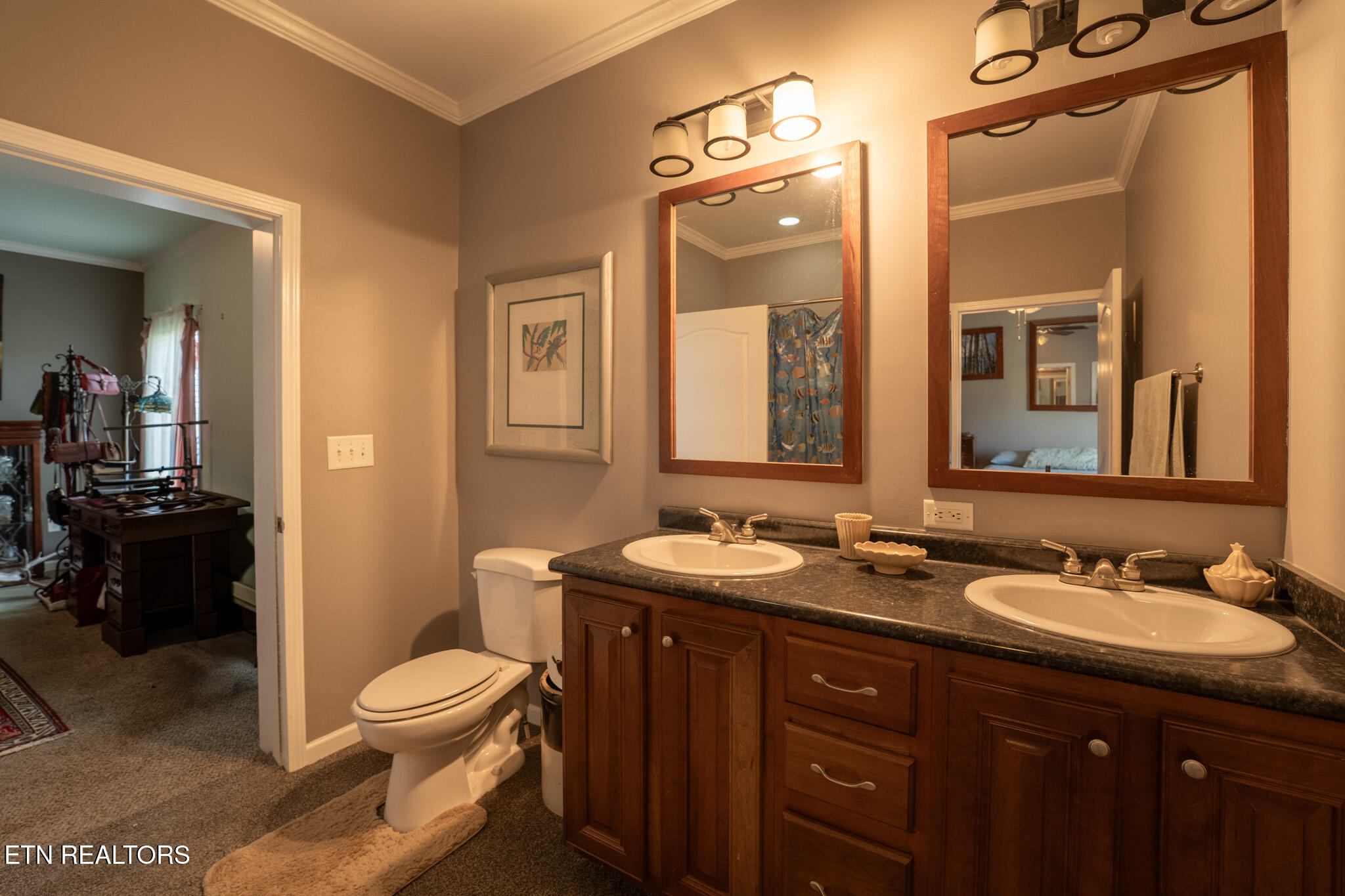 249 Molly Hollow Road New Tazewell TN 37825