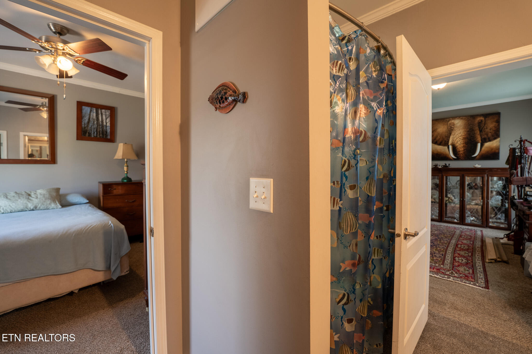 249 Molly Hollow Road New Tazewell TN 37825