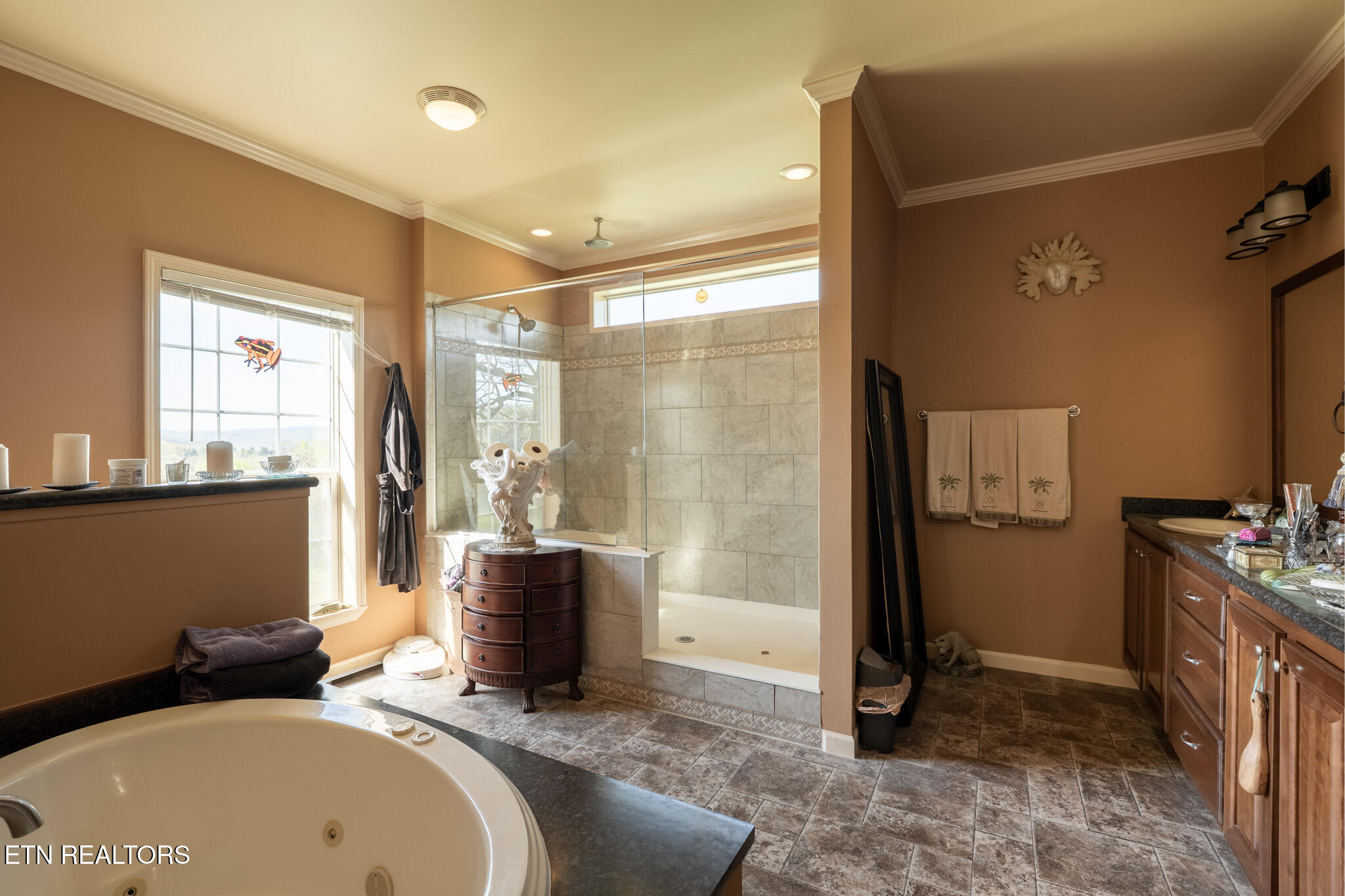 249 Molly Hollow Road New Tazewell TN 37825