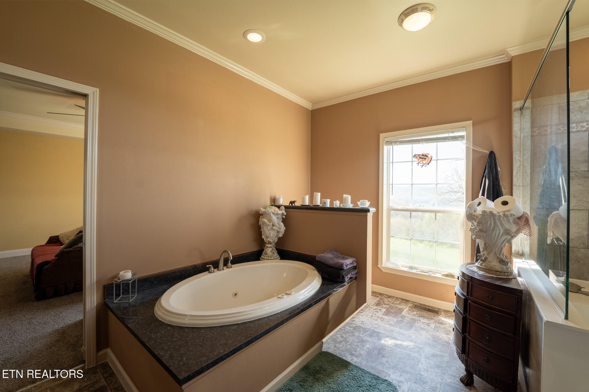 249 Molly Hollow Road New Tazewell TN 37825