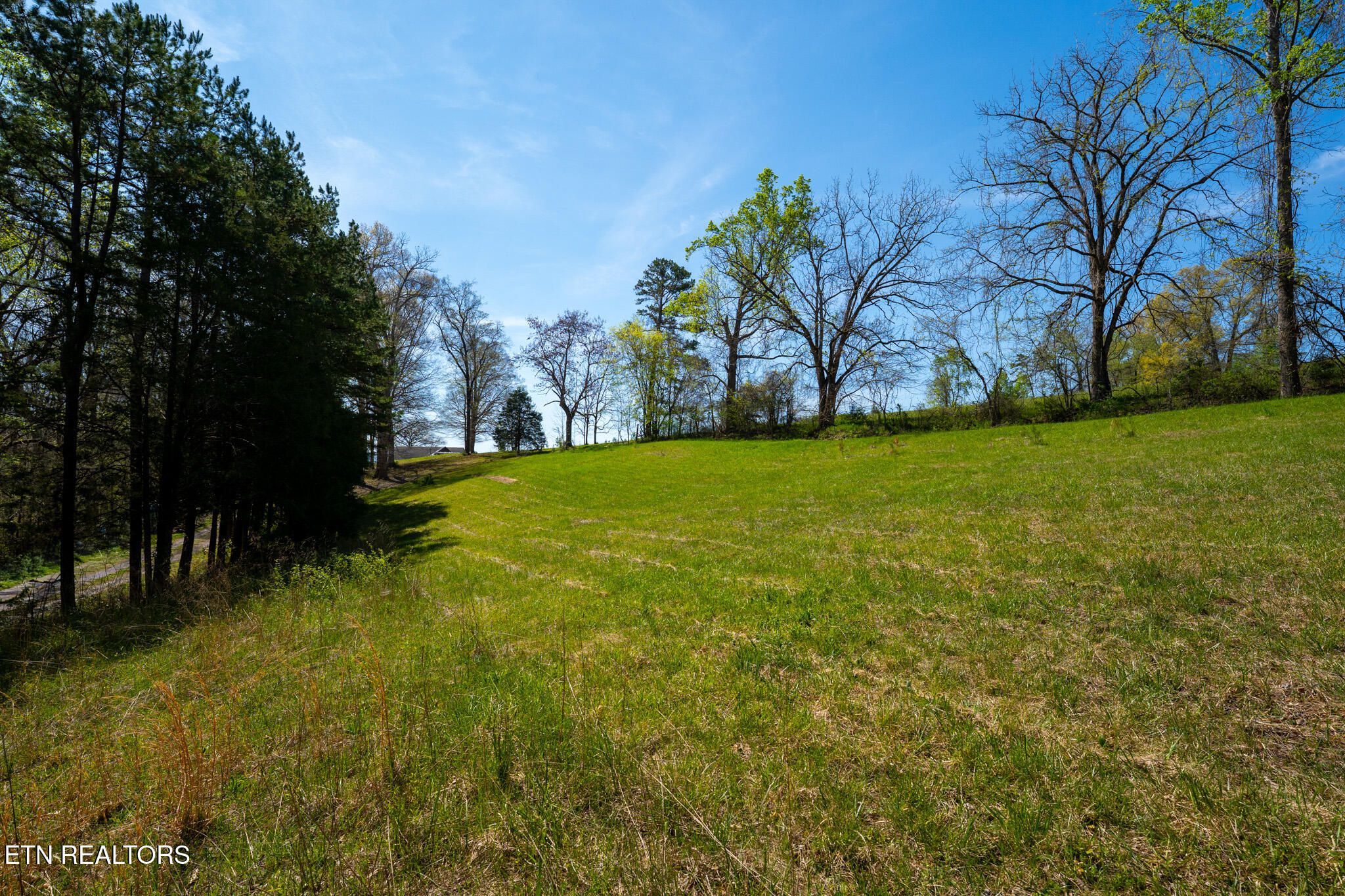 249 Molly Hollow Road New Tazewell TN 37825