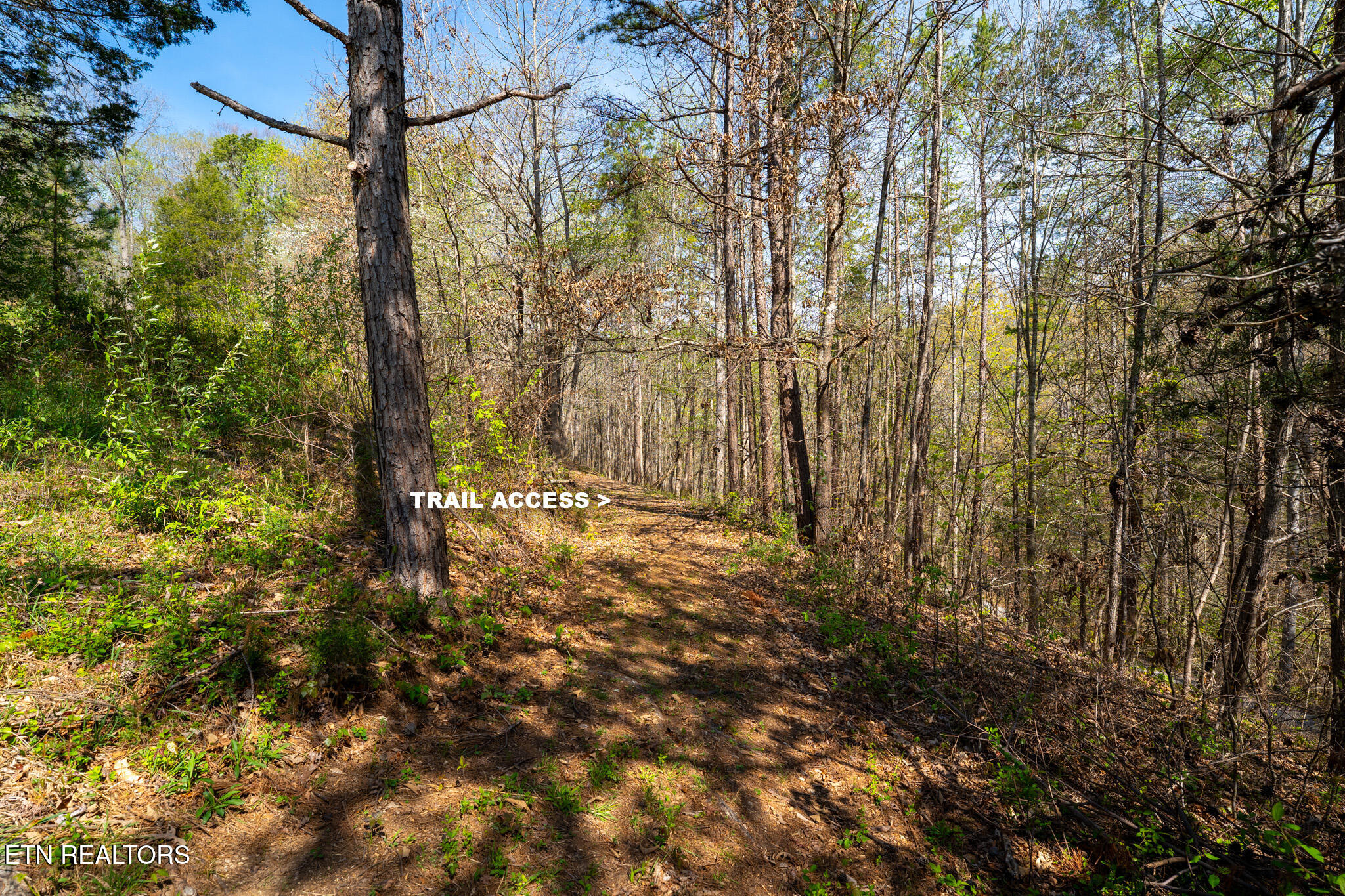 249 Molly Hollow Road New Tazewell TN 37825
