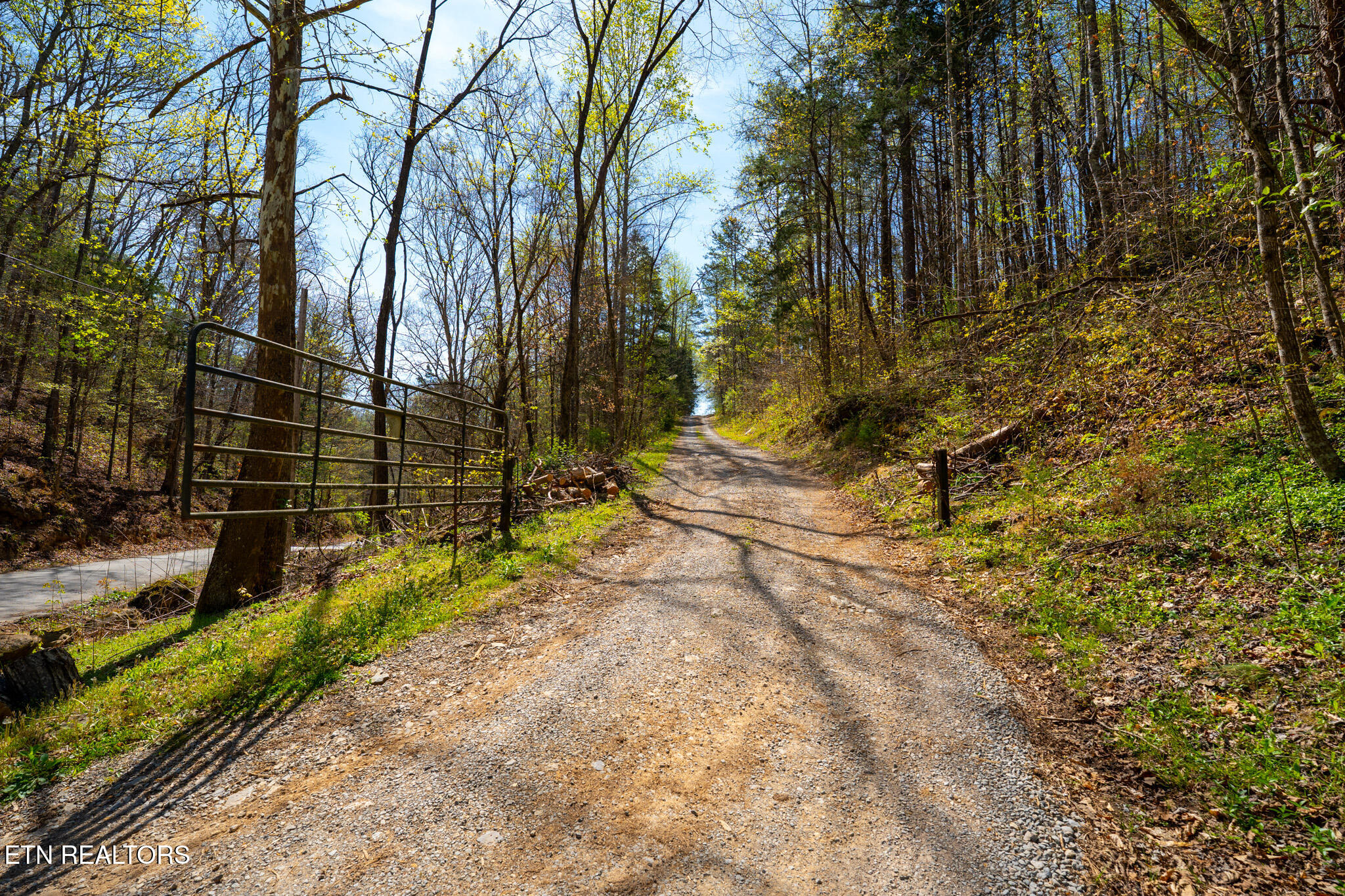 249 Molly Hollow Road New Tazewell TN 37825