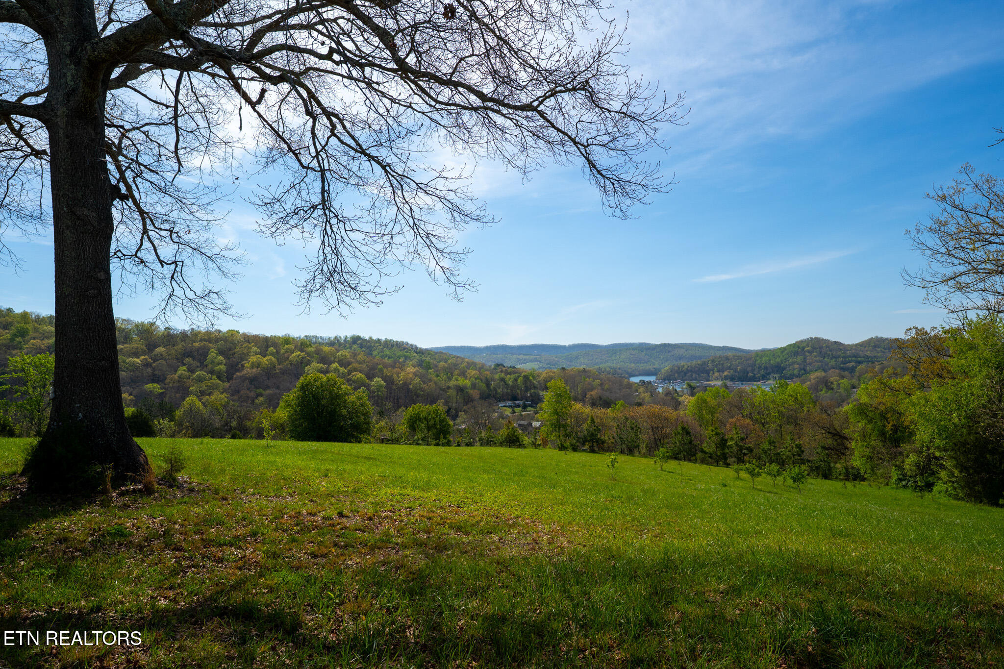 249 Molly Hollow Road New Tazewell TN 37825