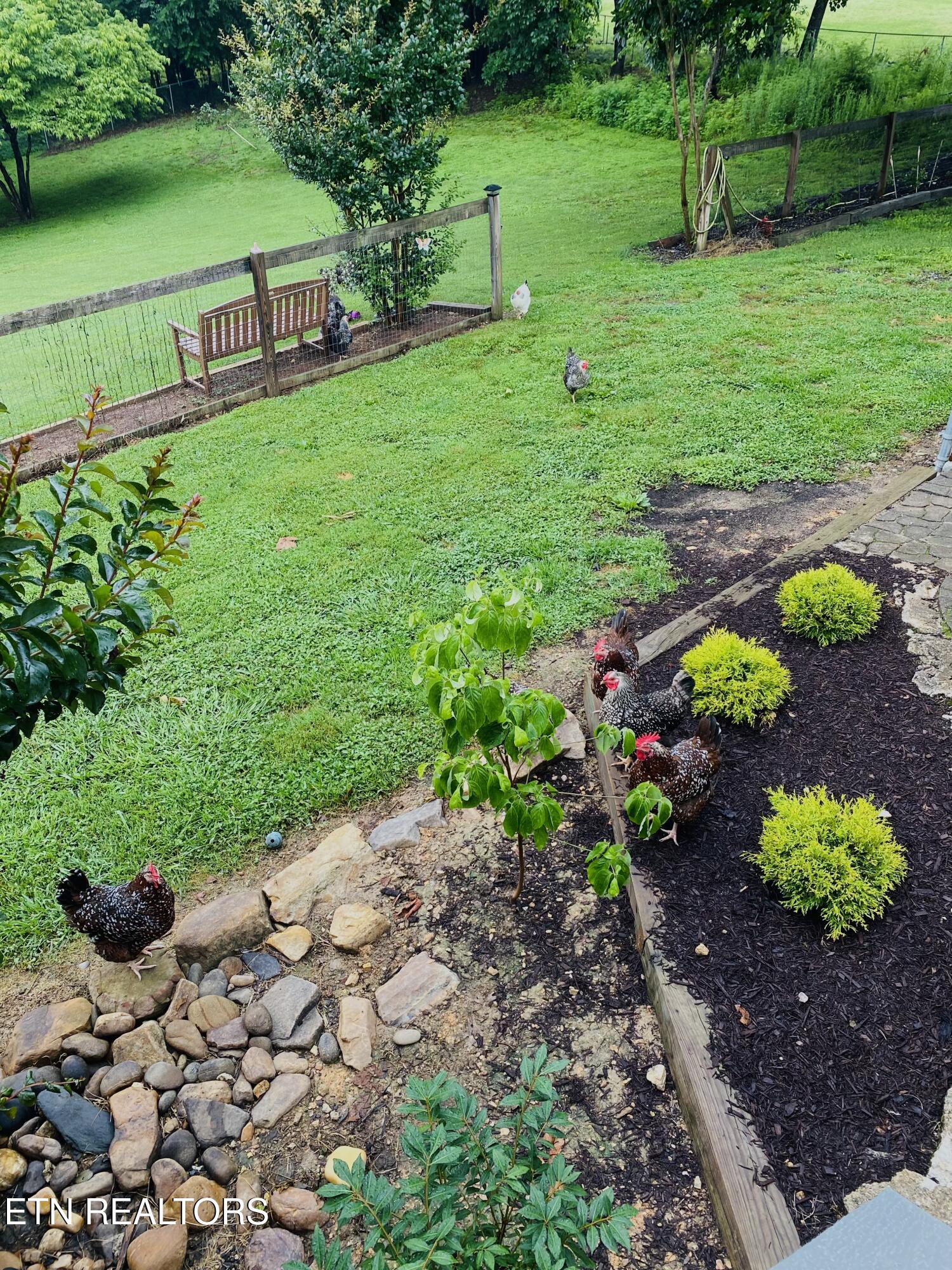 318 Deer Trail Drive Dandridge TN 37725