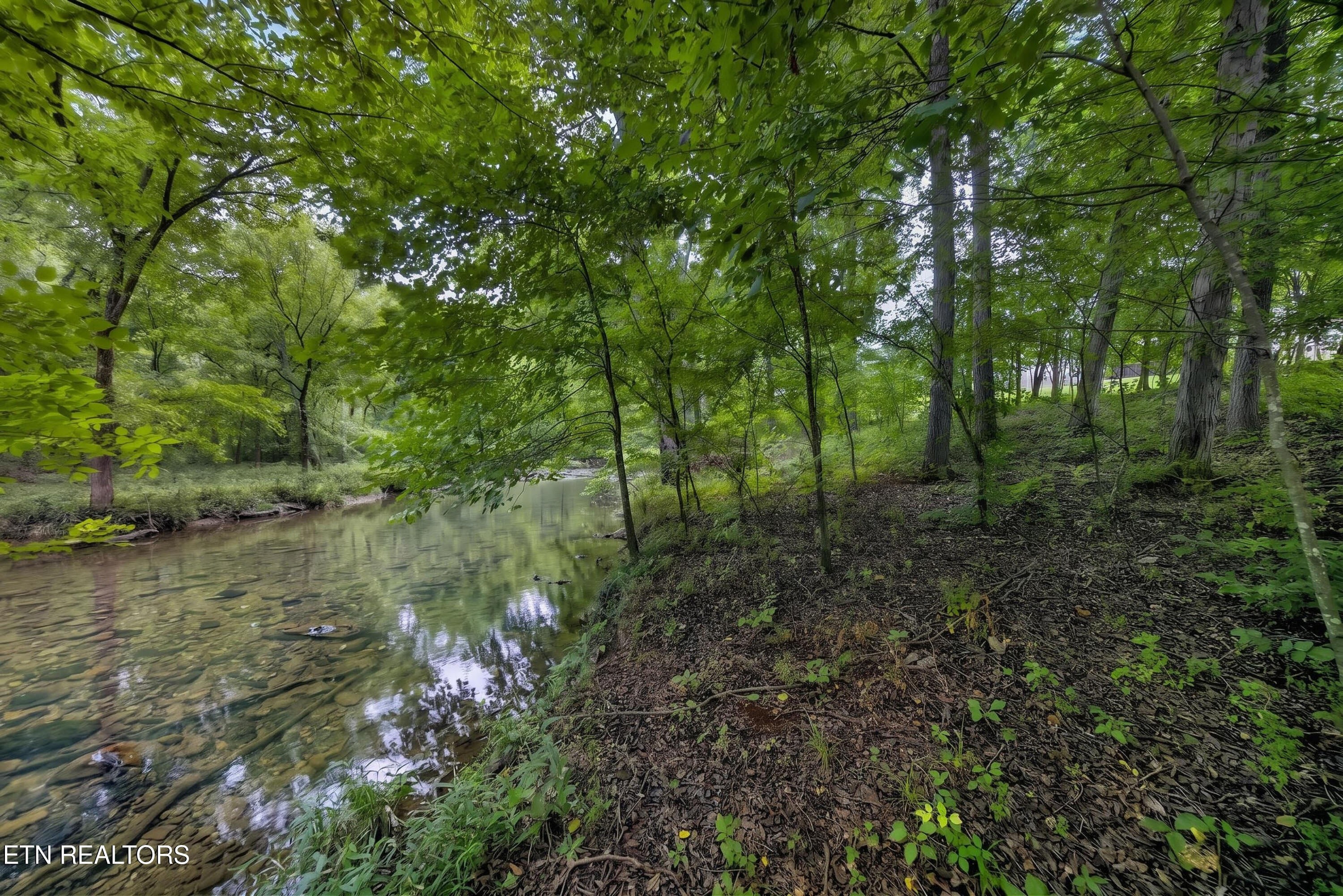 7373 Ladd Road Powell TN 37849