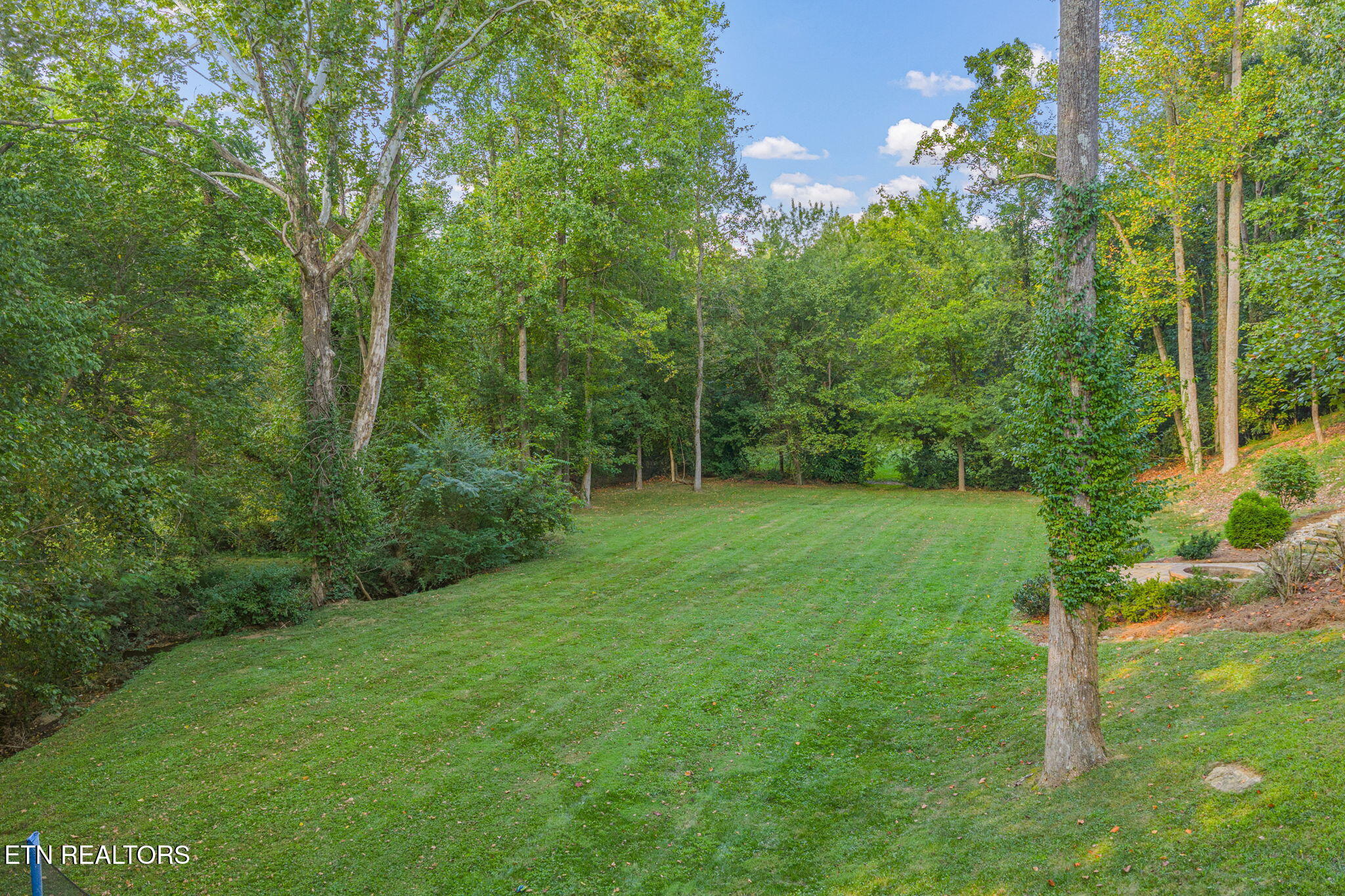 7305 Bellingham Drive Knoxville TN 37919
