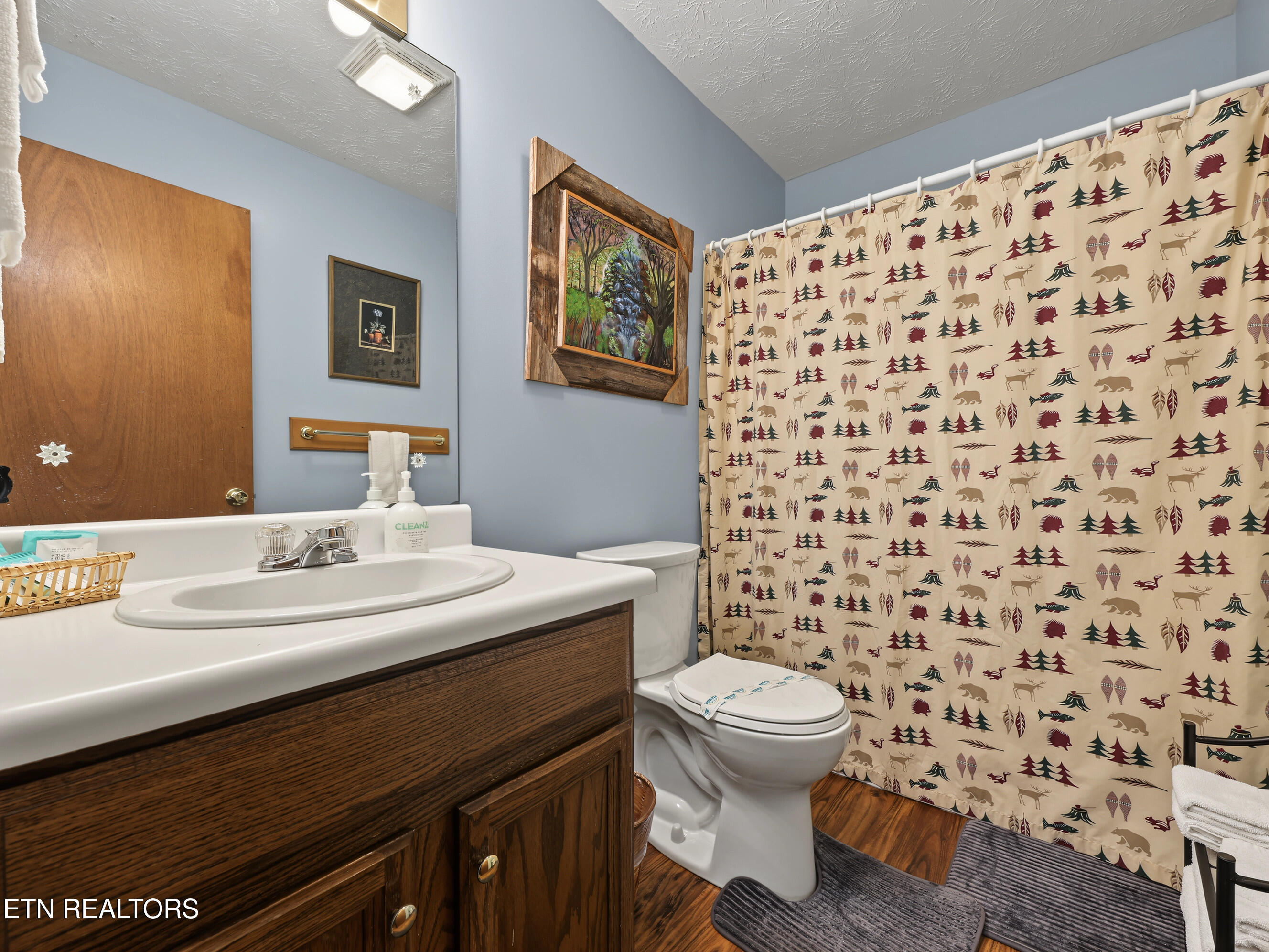 1533 Honey Bee Cove Way Pigeon Forge TN 37863
