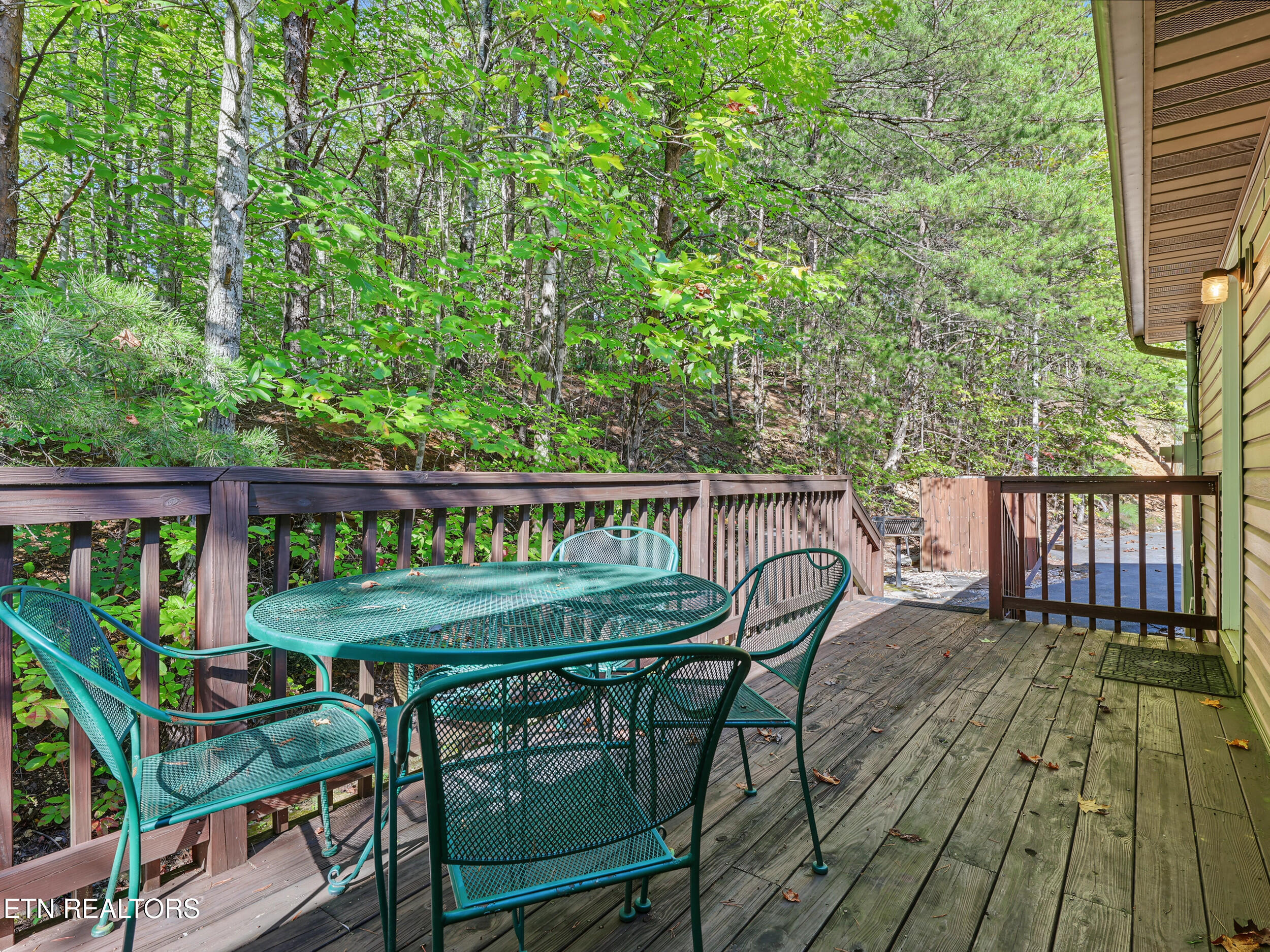 1533 Honey Bee Cove Way Pigeon Forge TN 37863