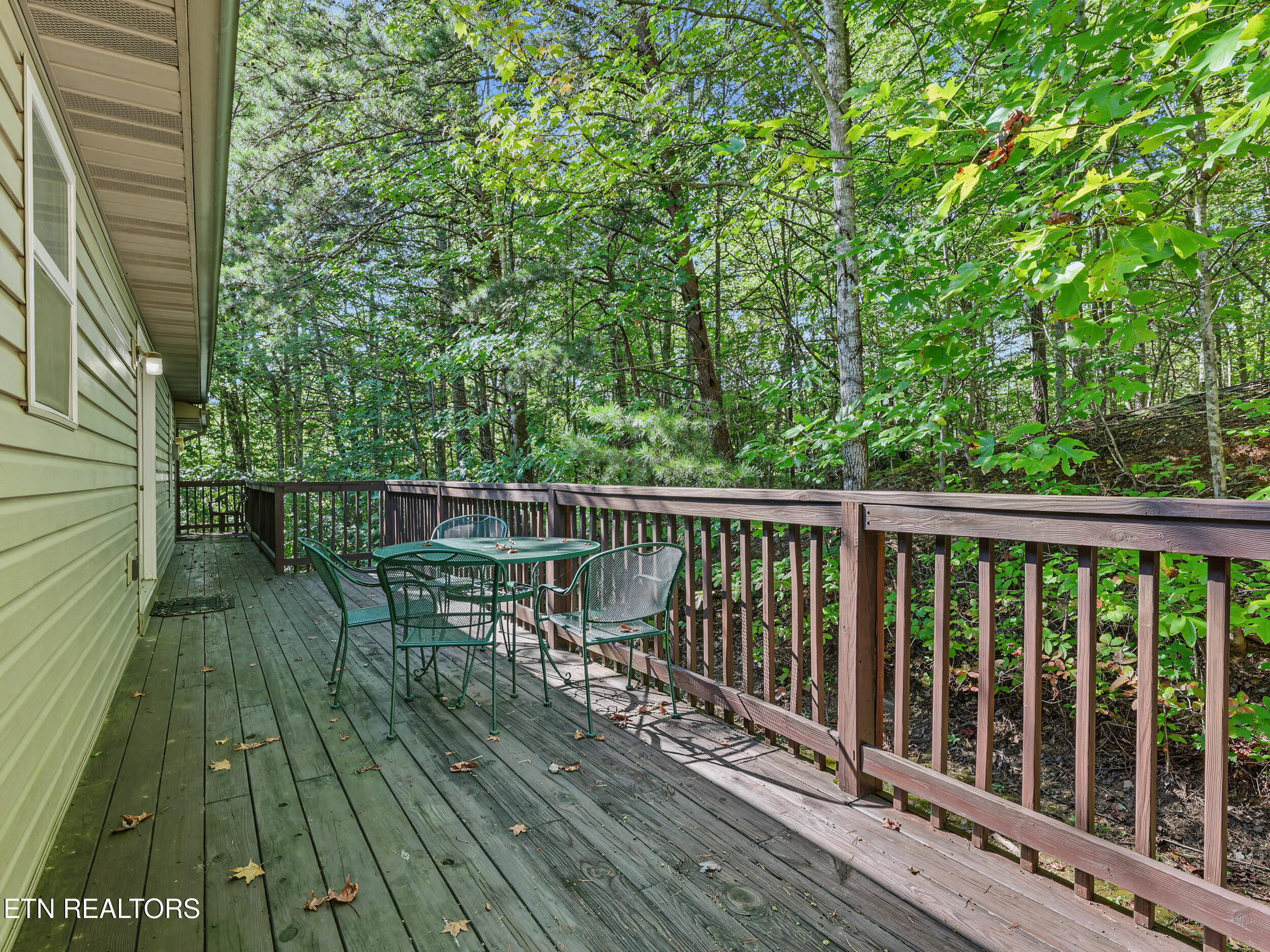 1533 Honey Bee Cove Way Pigeon Forge TN 37863