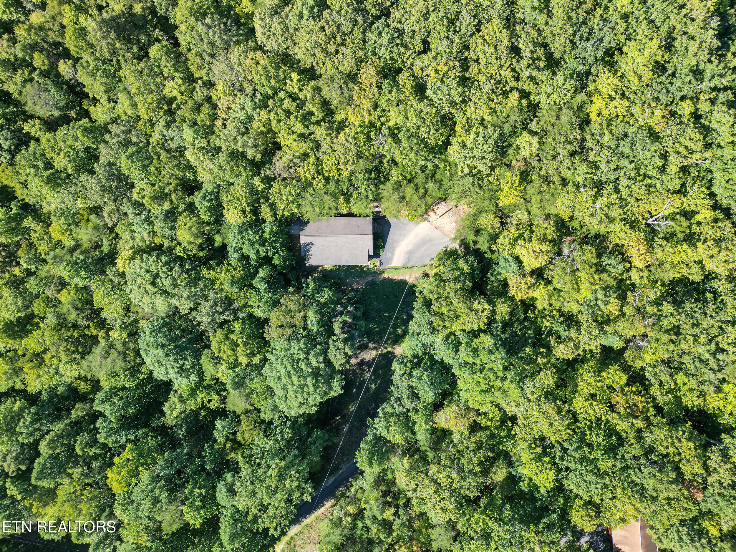 1533 Honey Bee Cove Way Pigeon Forge TN 37863