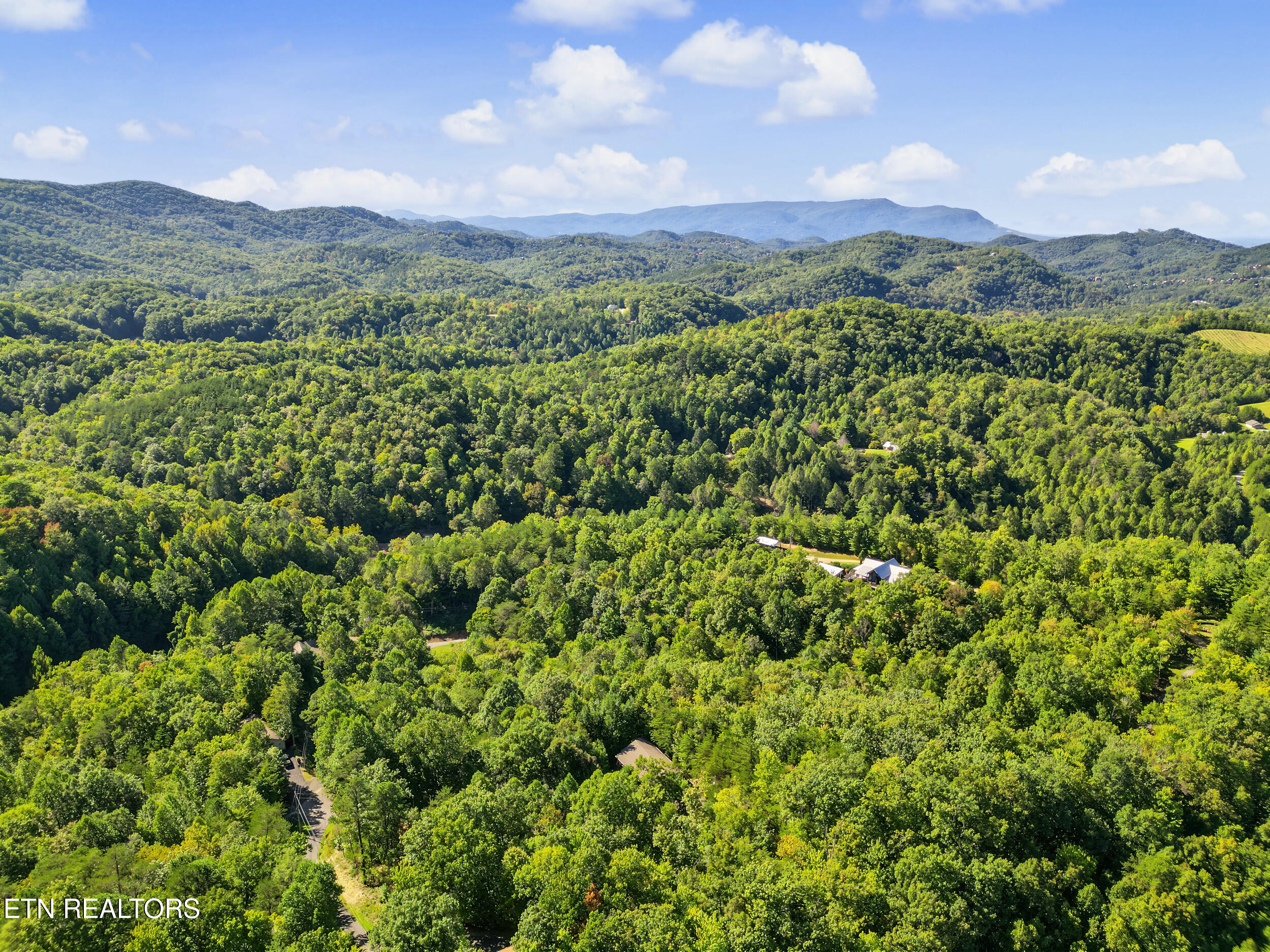 1533 Honey Bee Cove Way Pigeon Forge TN 37863