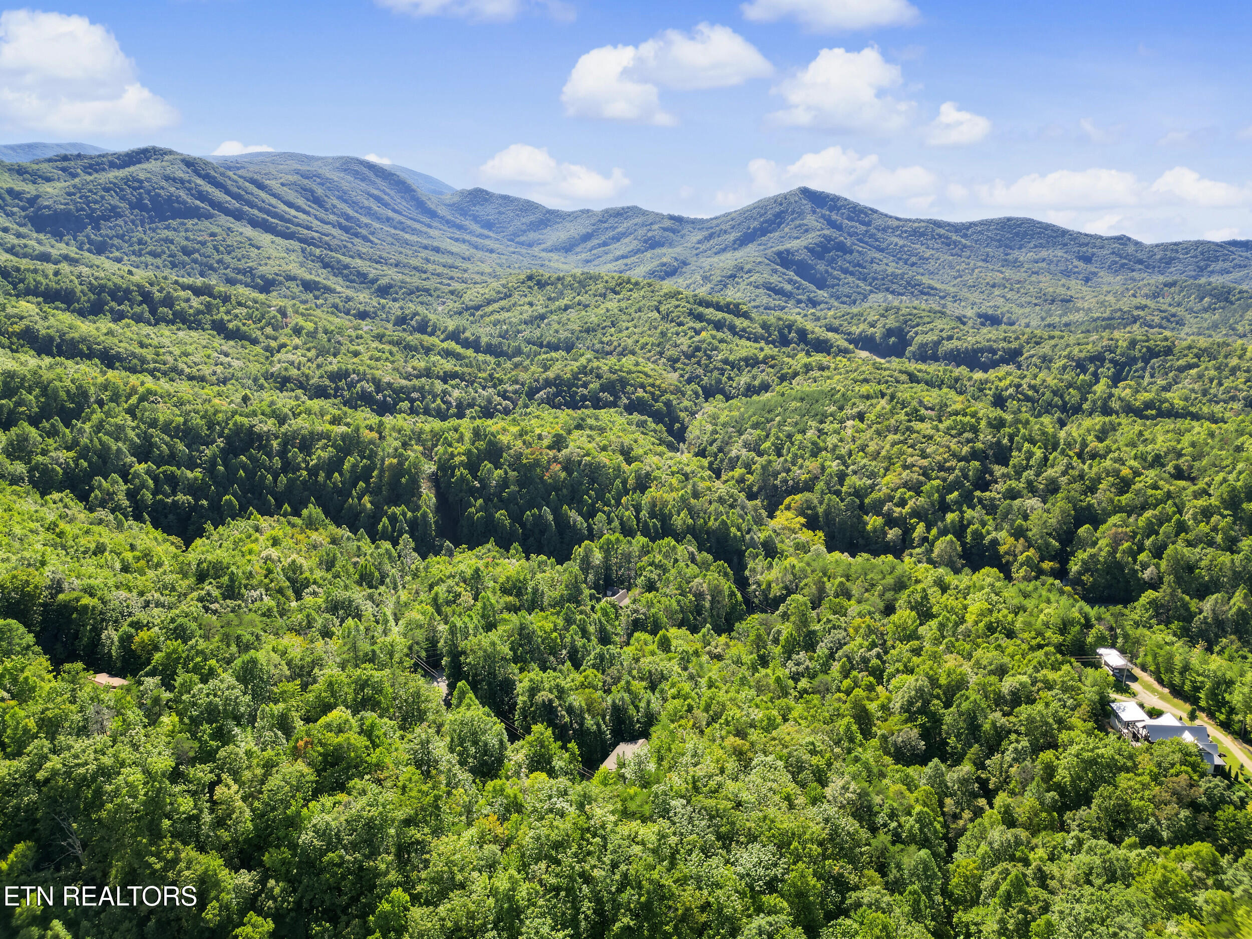 1533 Honey Bee Cove Way Pigeon Forge TN 37863