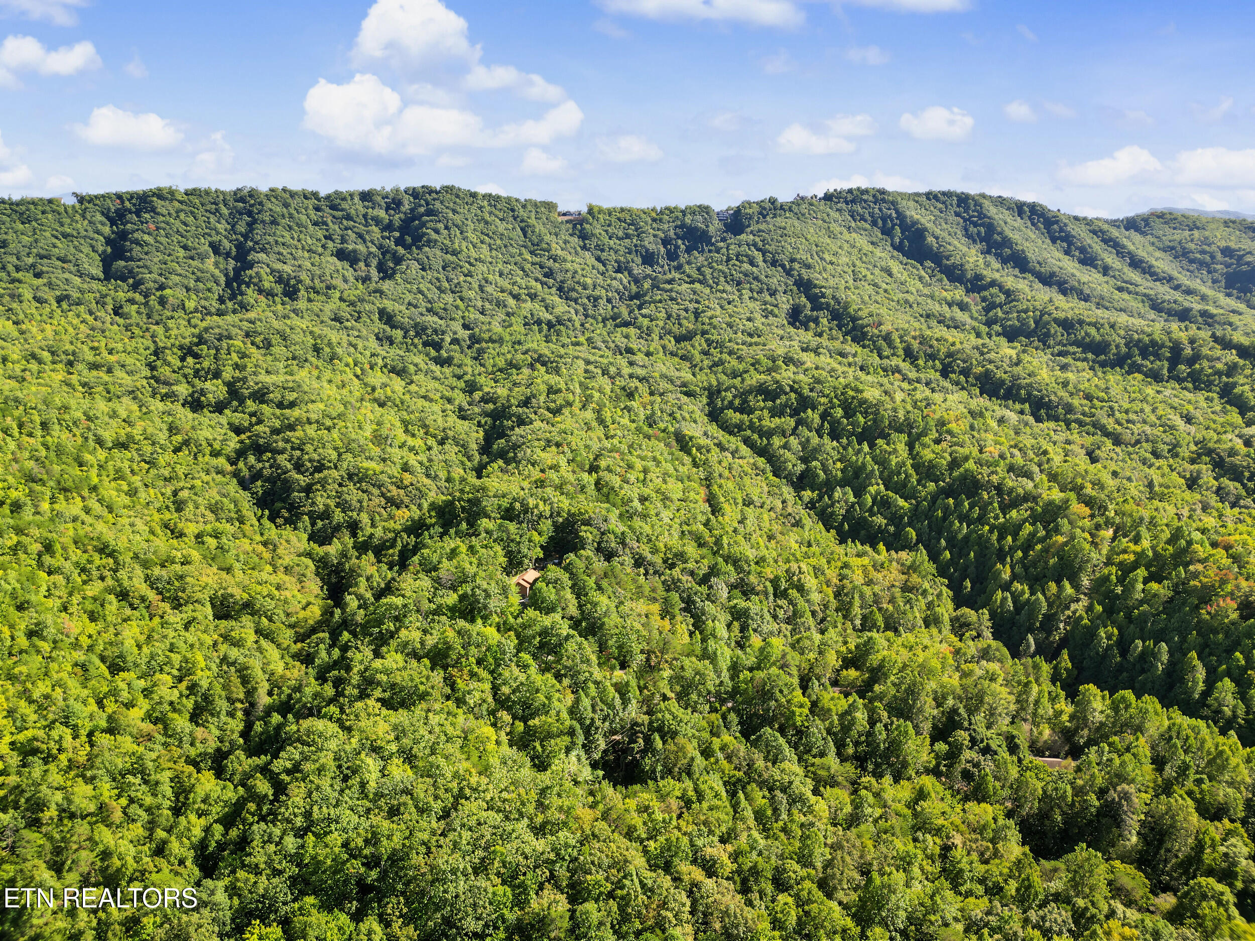 1533 Honey Bee Cove Way Pigeon Forge TN 37863
