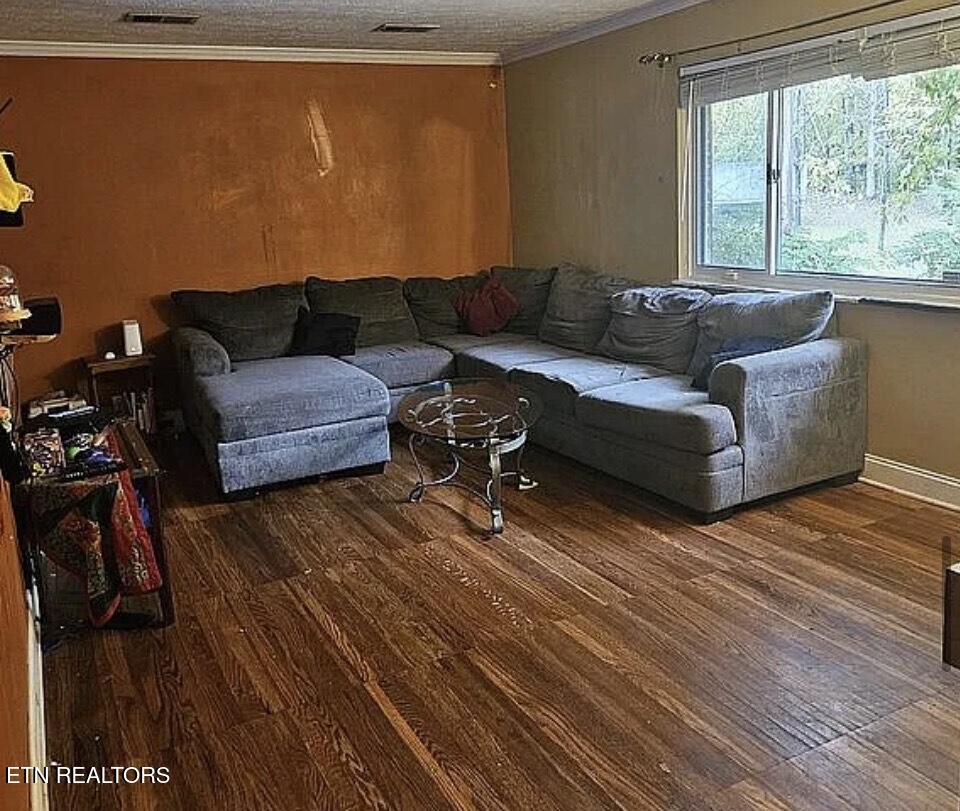 1528 Hull Lane Knoxville TN 37931