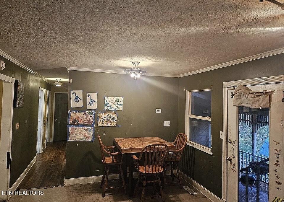 1528 Hull Lane Knoxville TN 37931