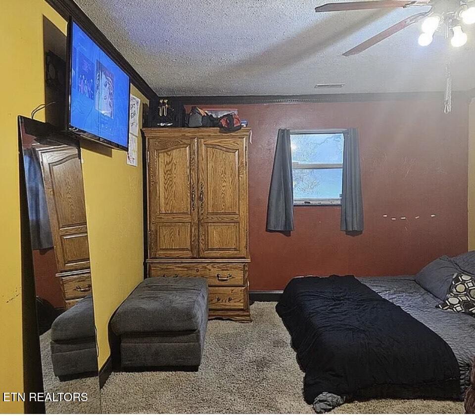 1528 Hull Lane Knoxville TN 37931