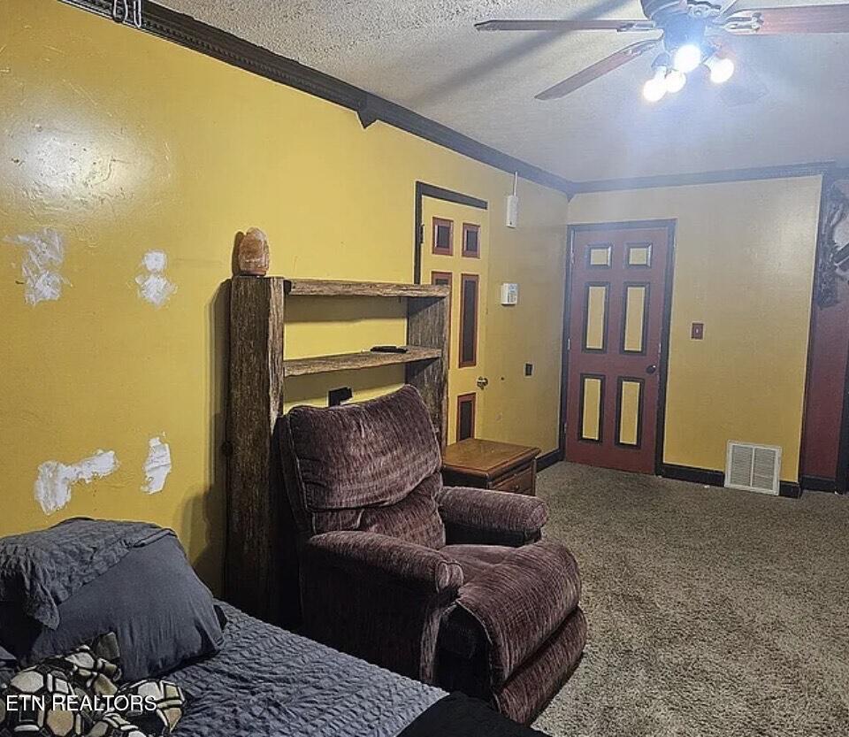 1528 Hull Lane Knoxville TN 37931