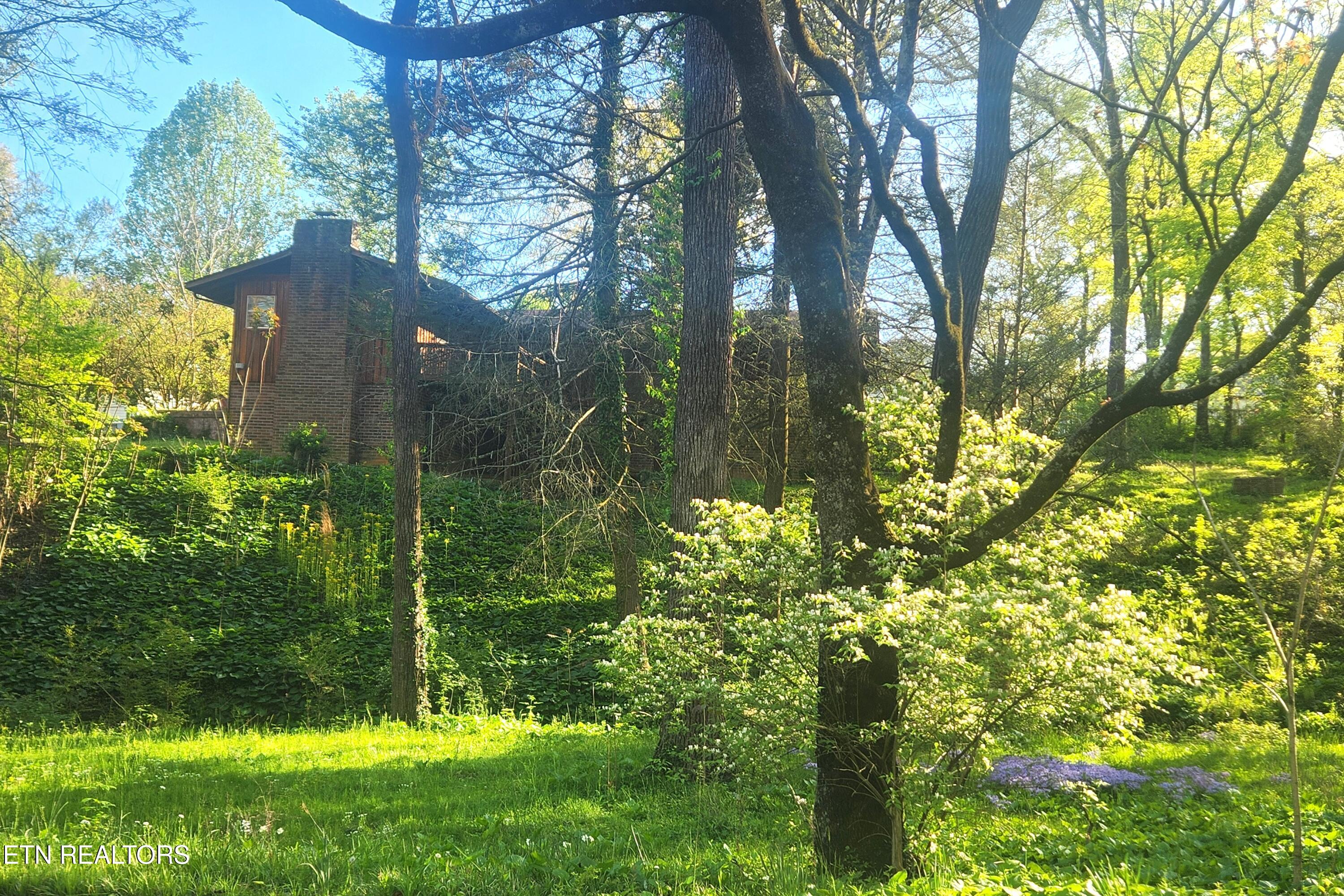 414 Guille Street Athens TN 37303