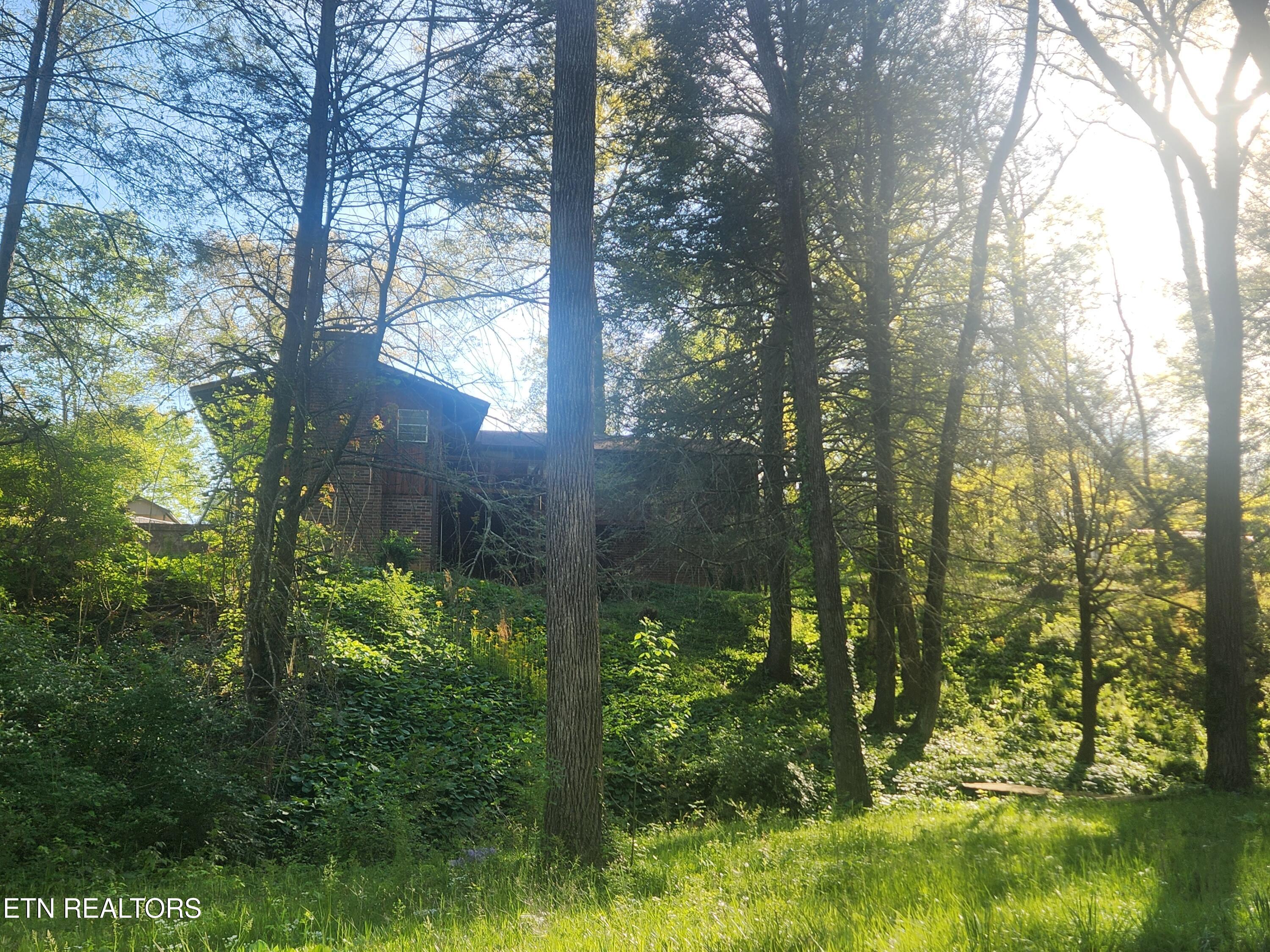 414 Guille Street Athens TN 37303