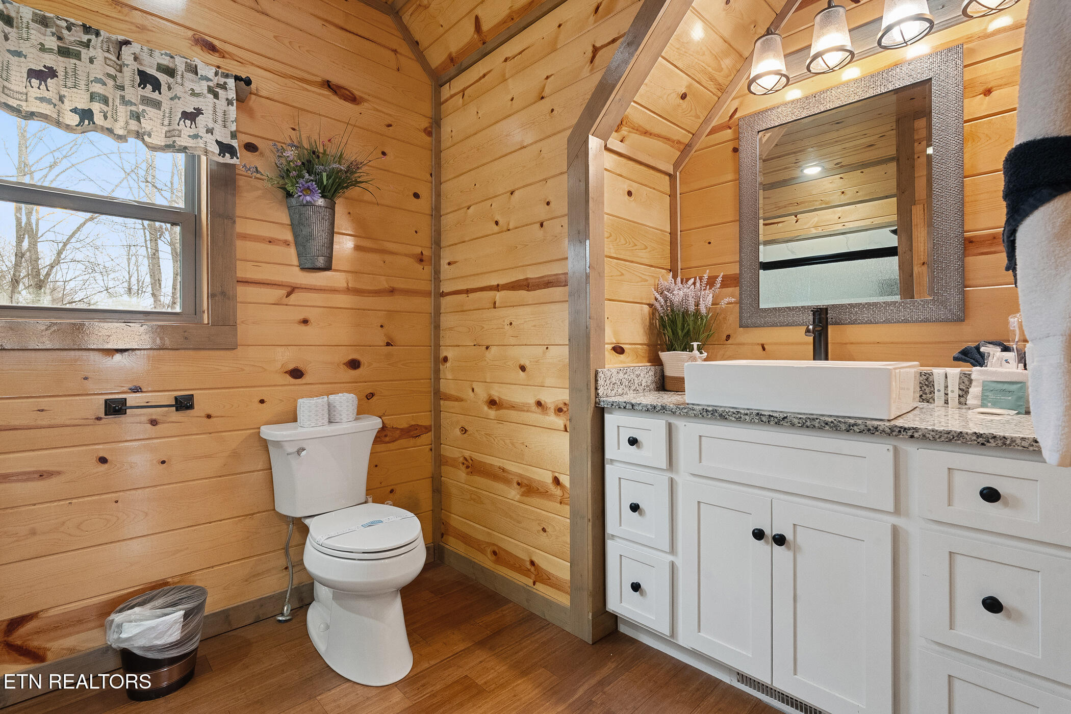 1041 Vista Drive Gatlinburg TN 37738