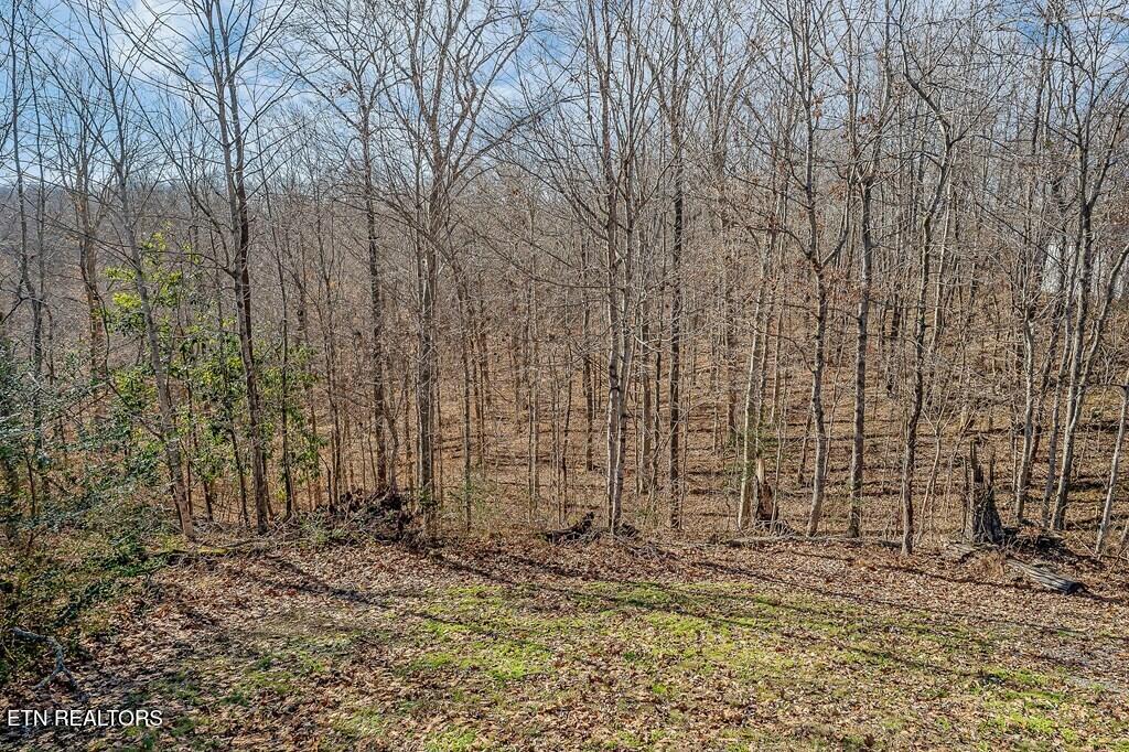 94 Cummins Court Celina TN 38551