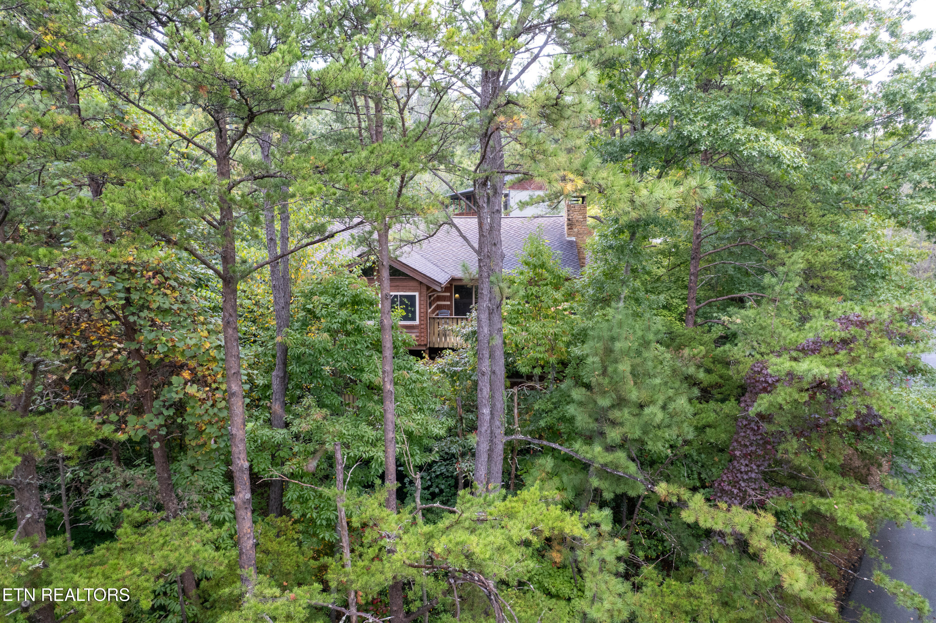 317 Matterhorn Drive Gatlinburg TN 37738