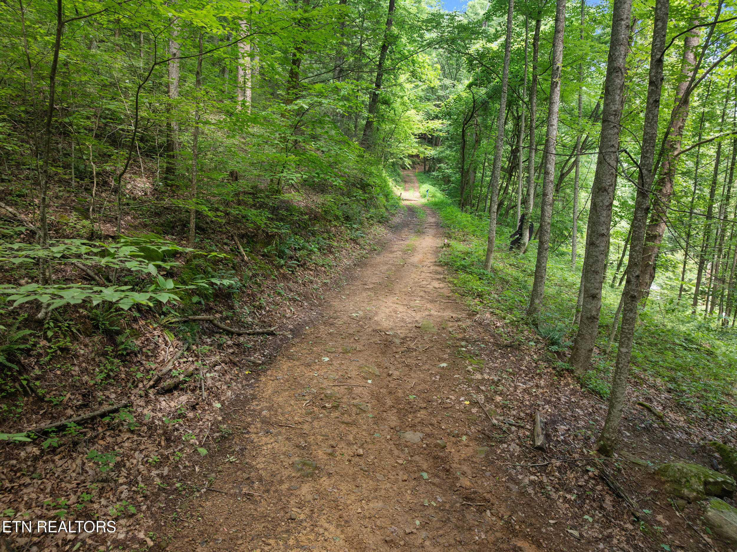 2792 Happy Hollow Road Sevierville TN 37862