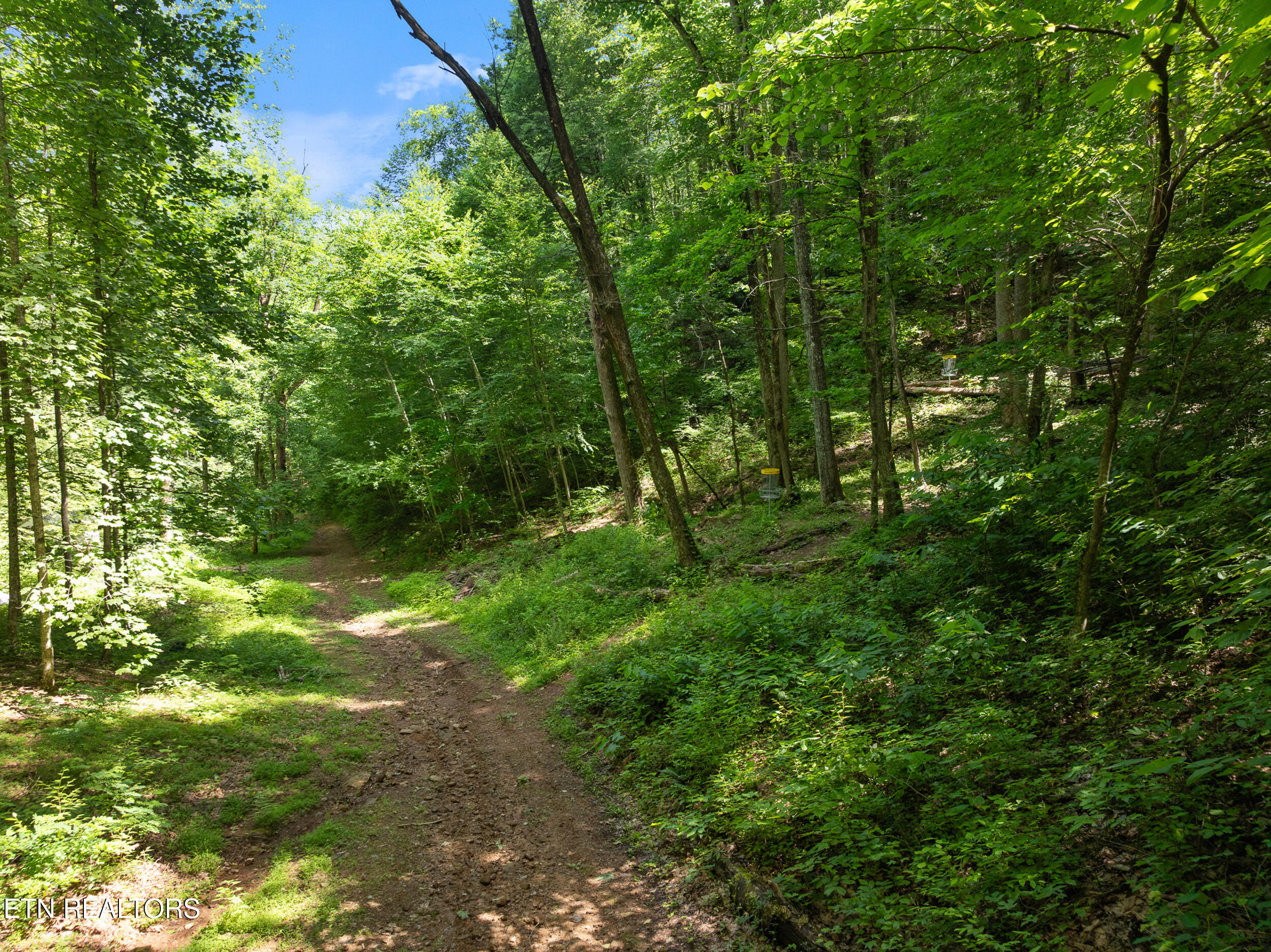 2792 Happy Hollow Road Sevierville TN 37862